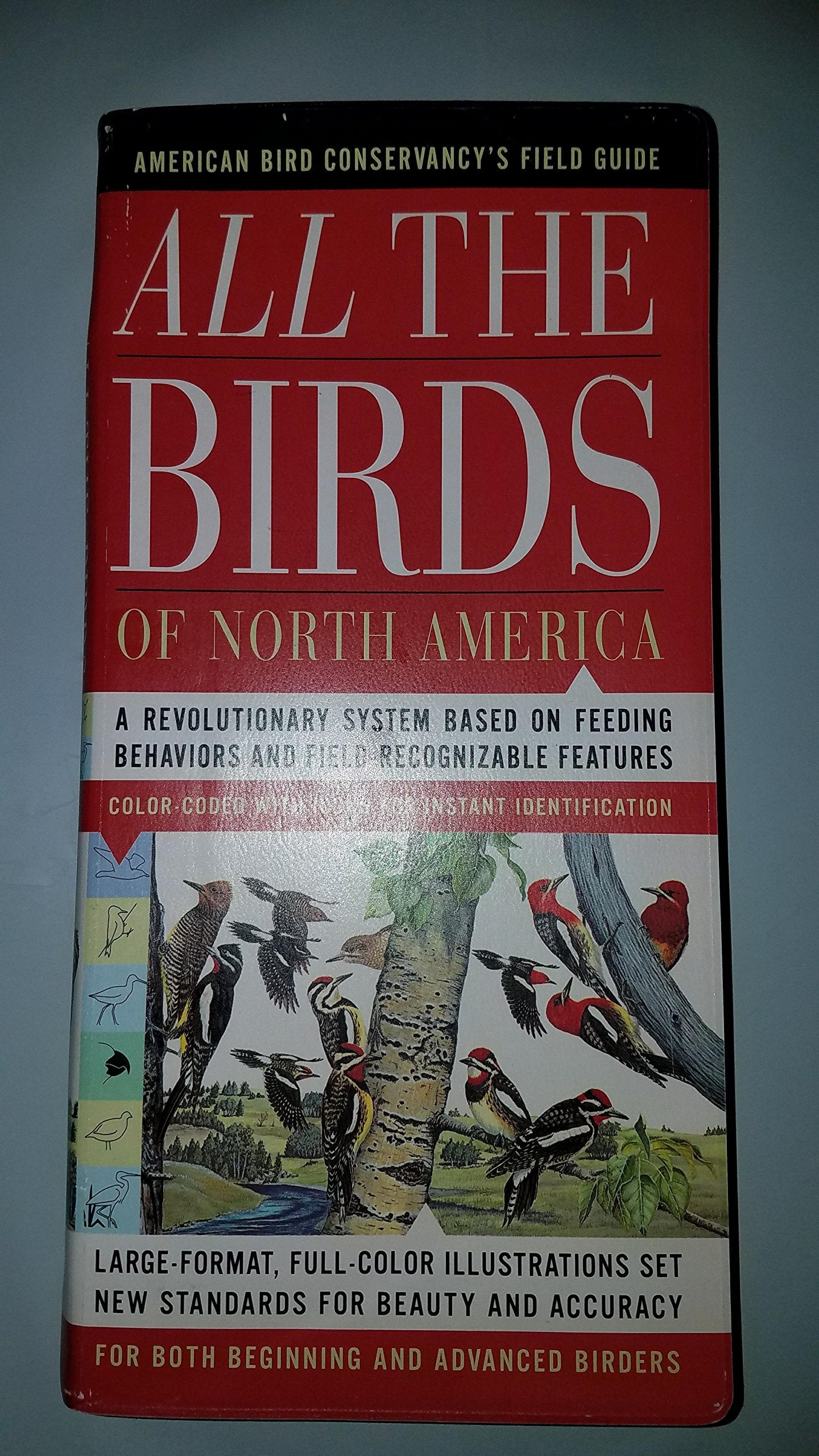 All the Birds of North America Mathematics