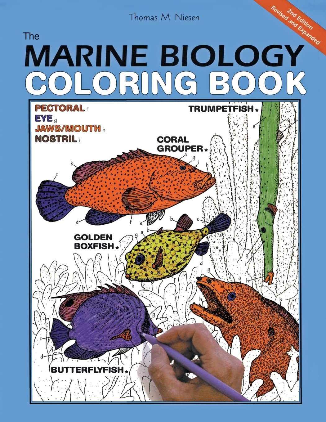 Marine Biology Coloring Book, 2e, The book