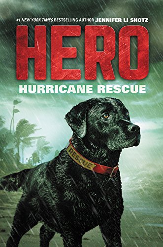 Hero: Hurricane Rescue book