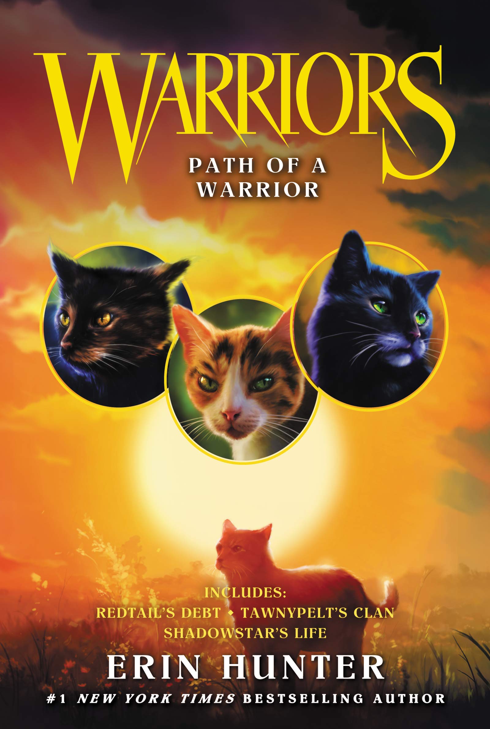 Warriors: Path of a Warrior: Three Thrilling Novellas in the Warriors Series (Warriors Novella, 5, Band 5) Non-fiction