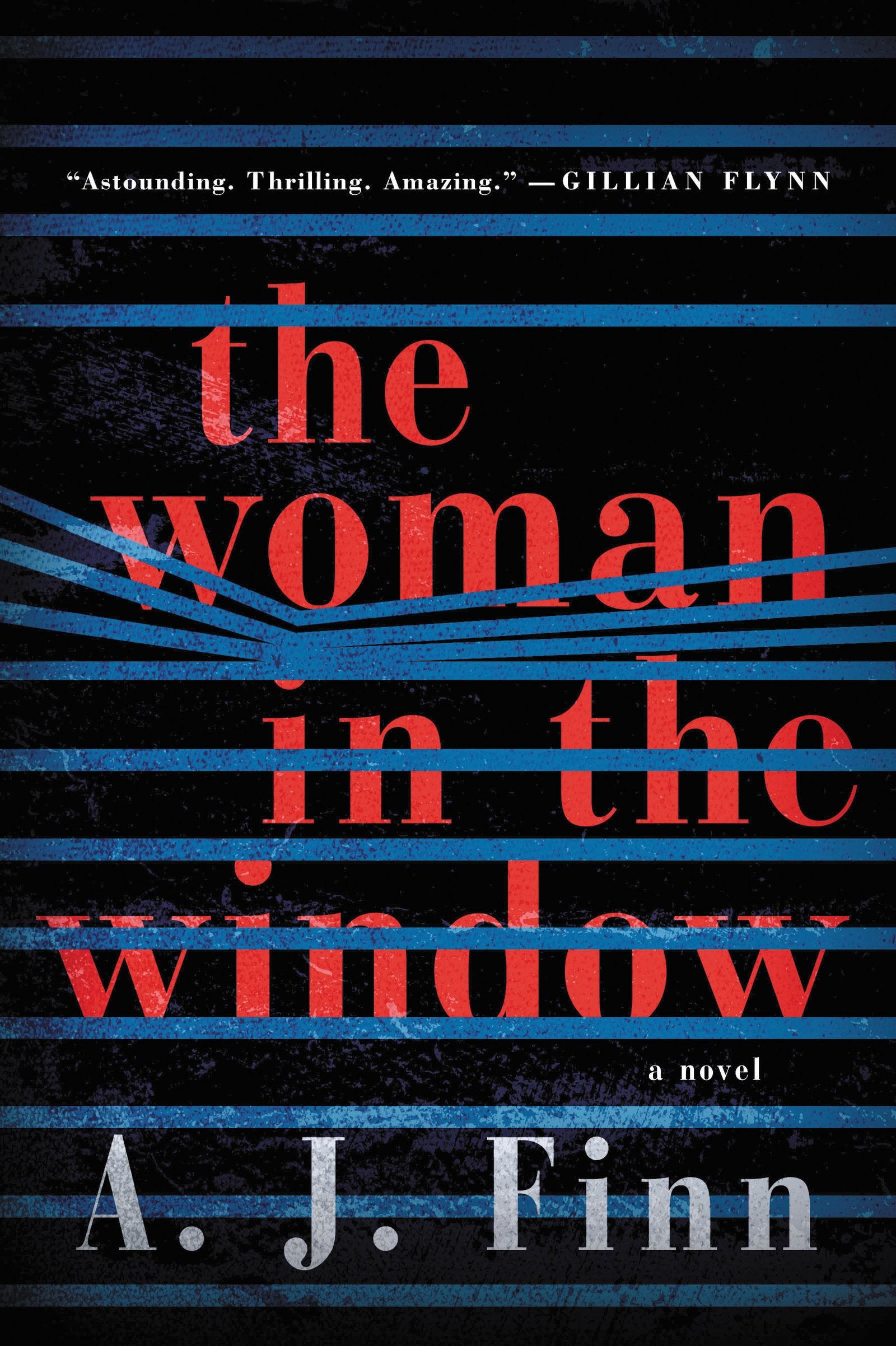 The Woman in the Window: A Novel Suspense & Thrillers