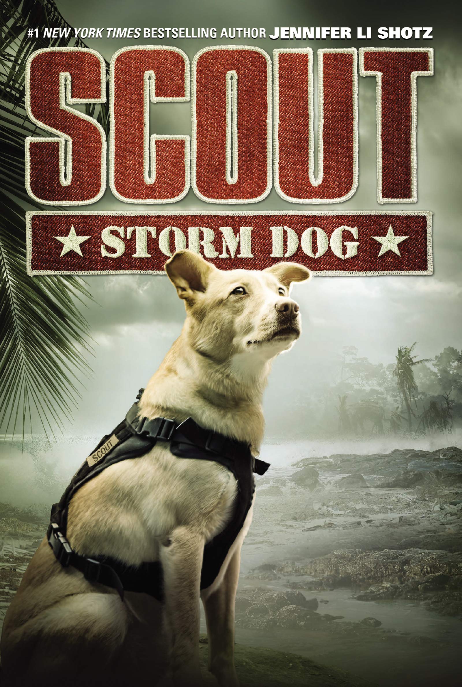 Scout: Storm Dog (Scout, 3, Band 3) Non-fiction