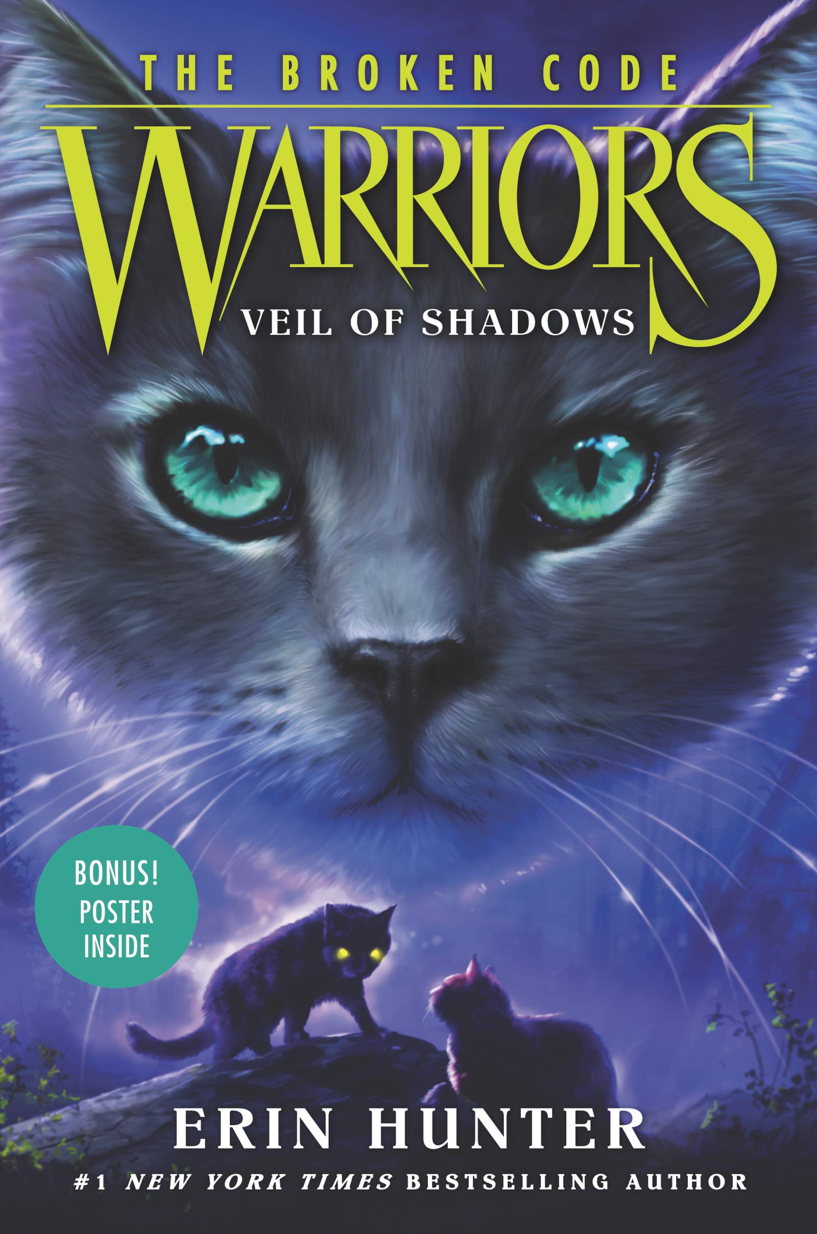 Product Image: Warriors: The Broken Code: Veil of Shadows