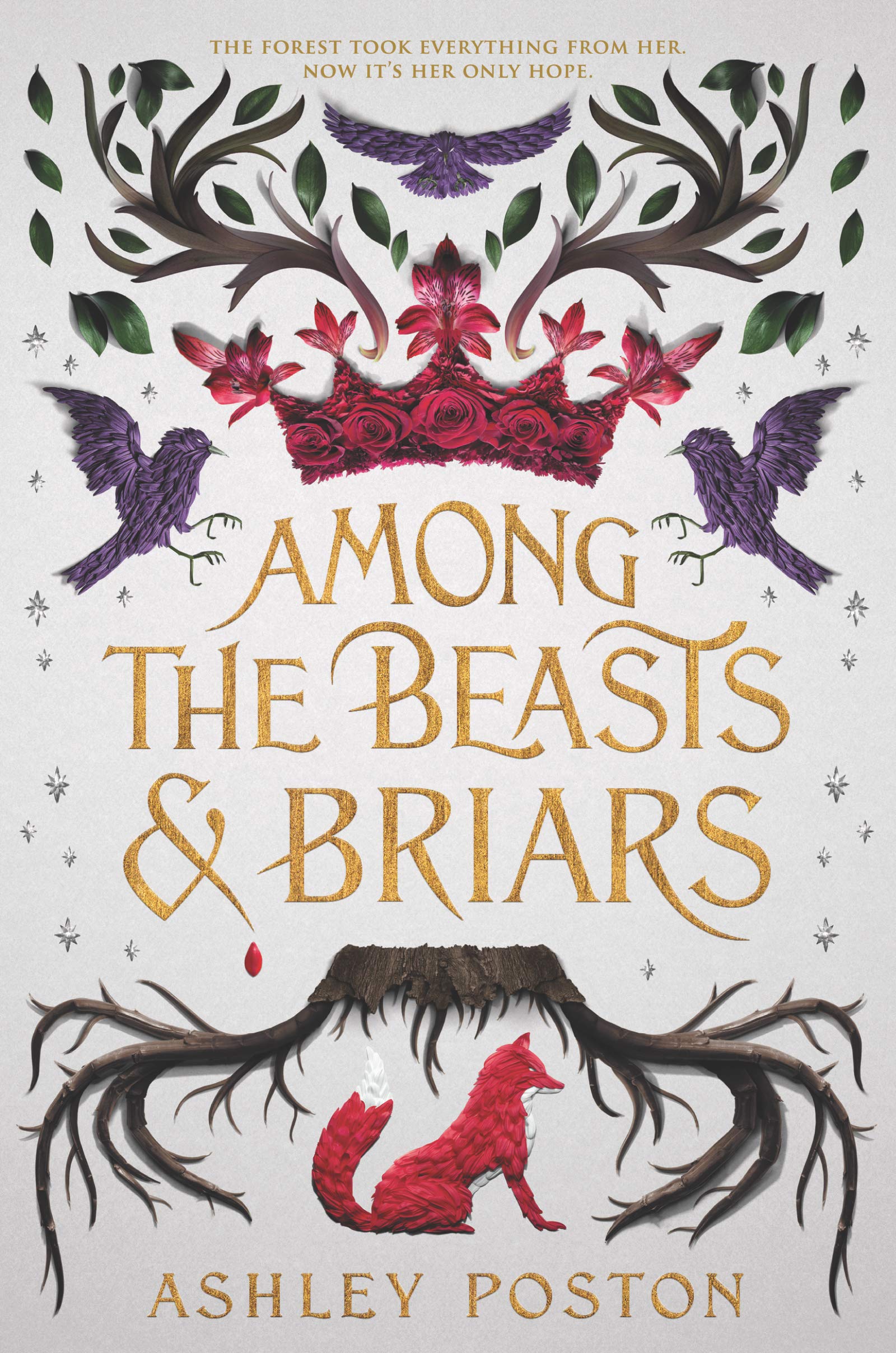 Among the Beasts & Briars Fiction books for children