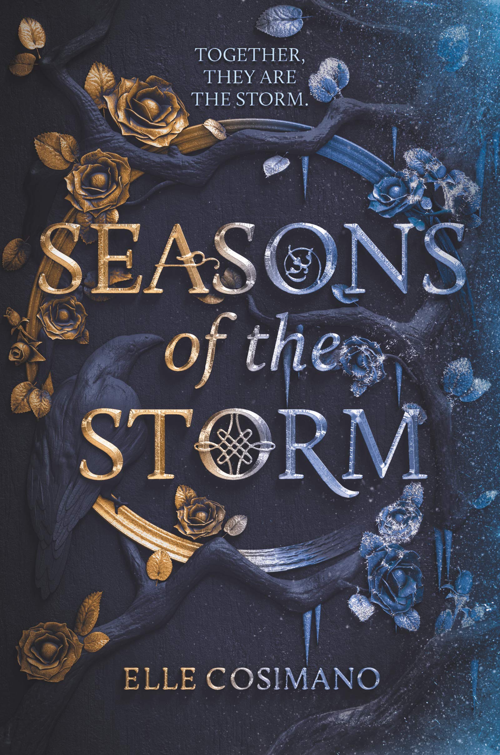 Seasons of the Storm Fiction