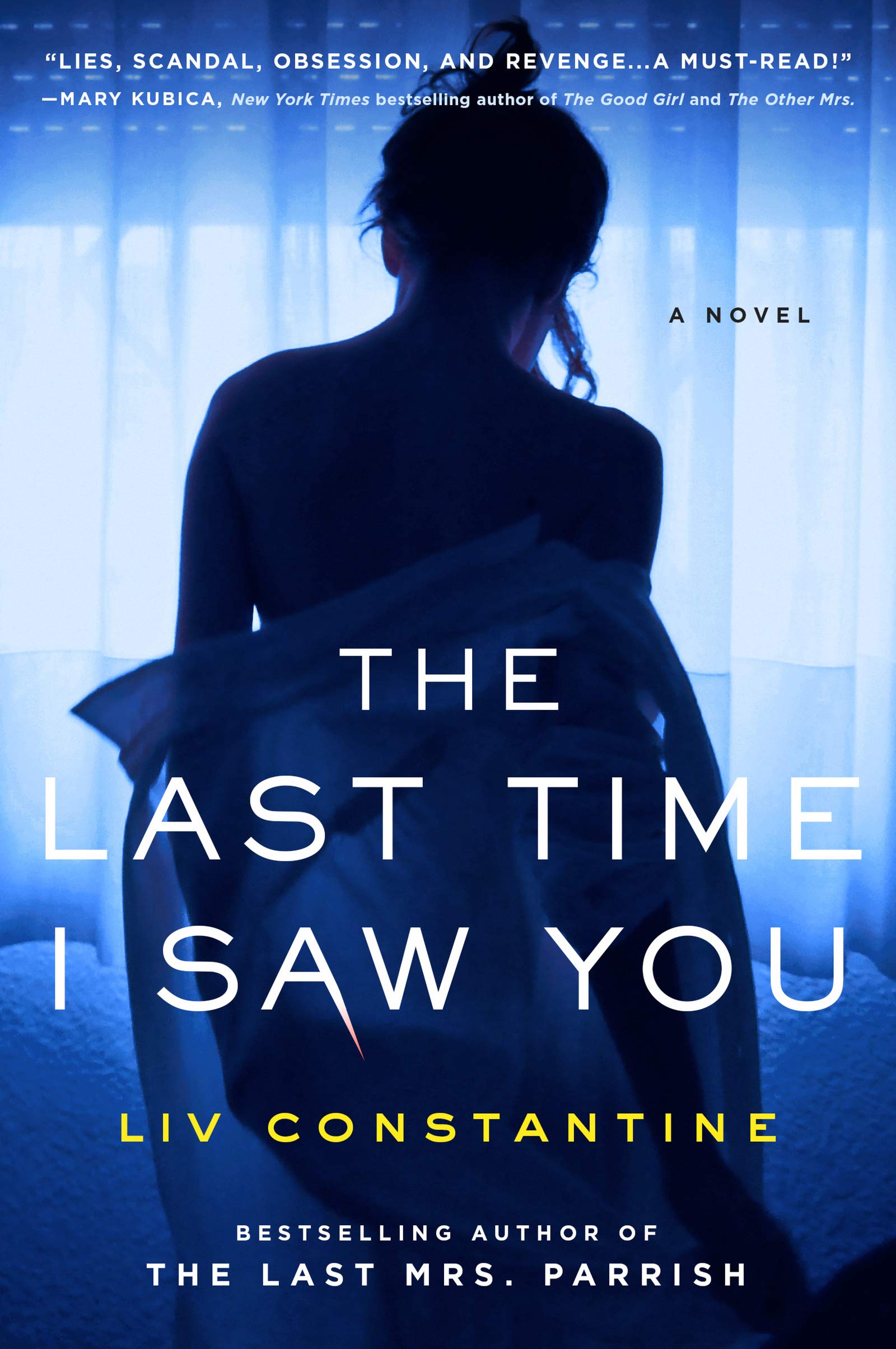 The Last Time I Saw You: A Novel Action & Adventure