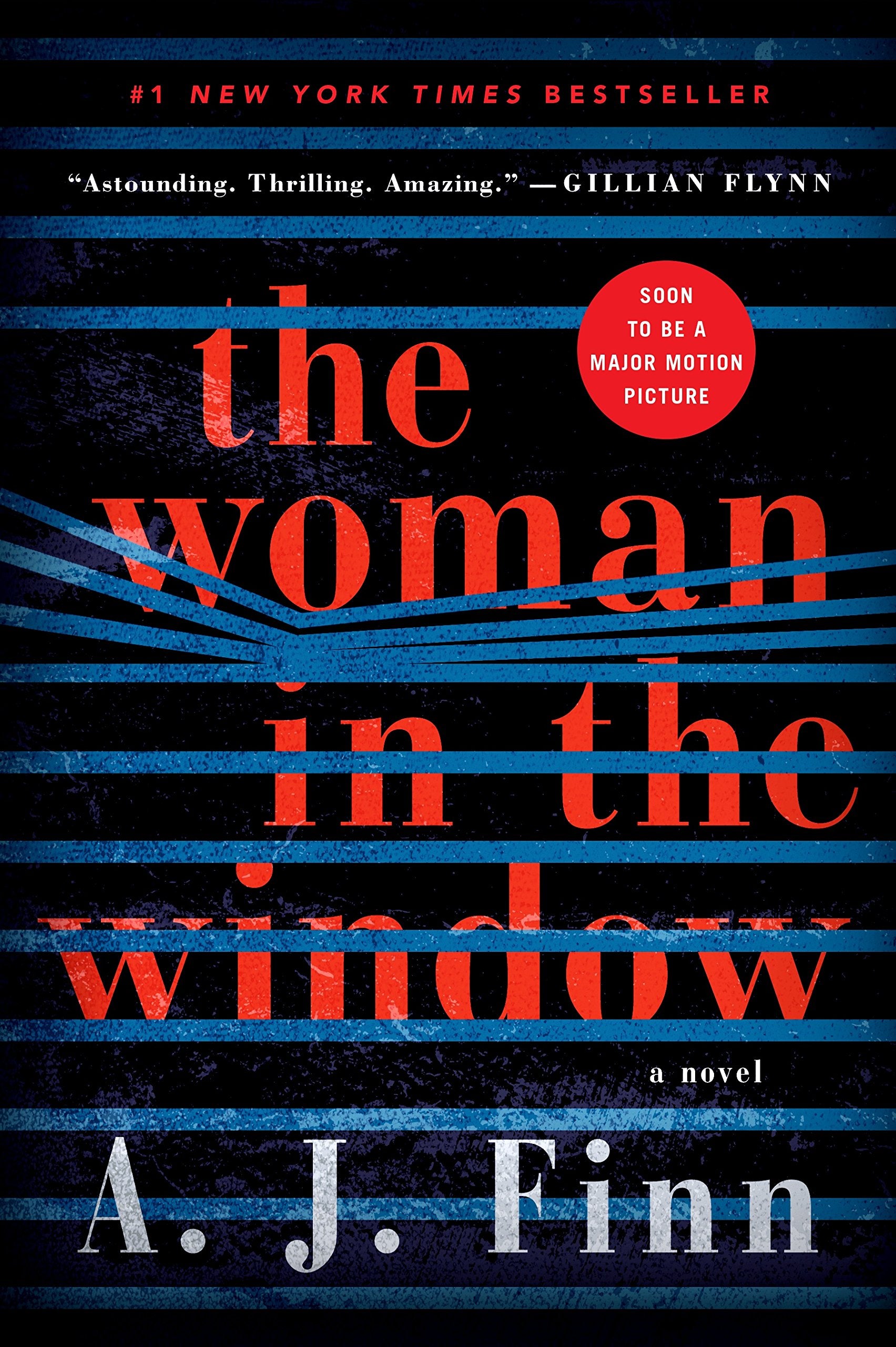 The Woman in the Window: A Novel Suspense & Thrillers