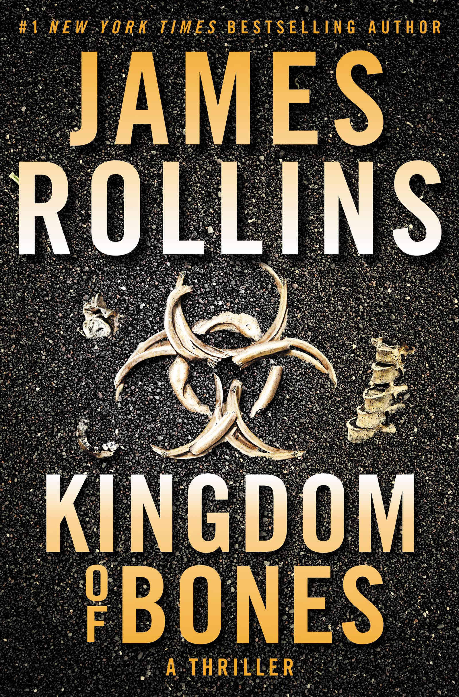 Kingdom of Bones: A Sigma Force Novel (Sigma Force, 16, Band 22) Action & Adventure