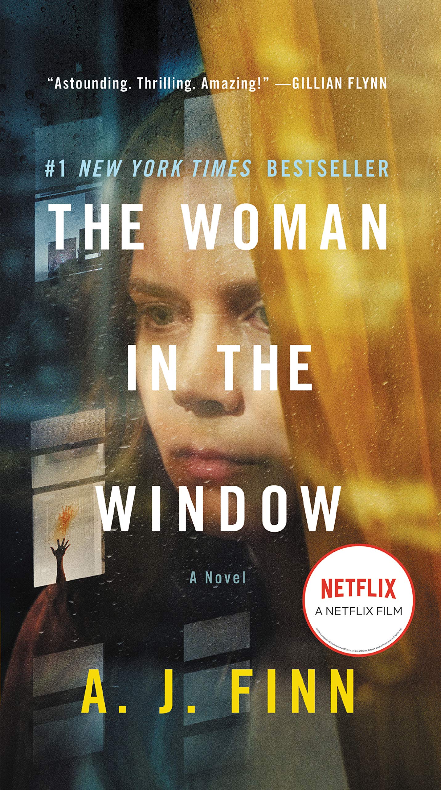The Woman in the Window Contemporary literature