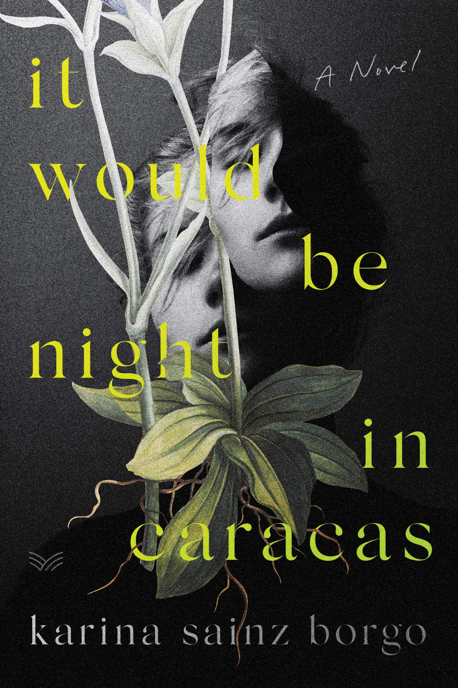 It Would Be Night in Caracas Historical Fiction