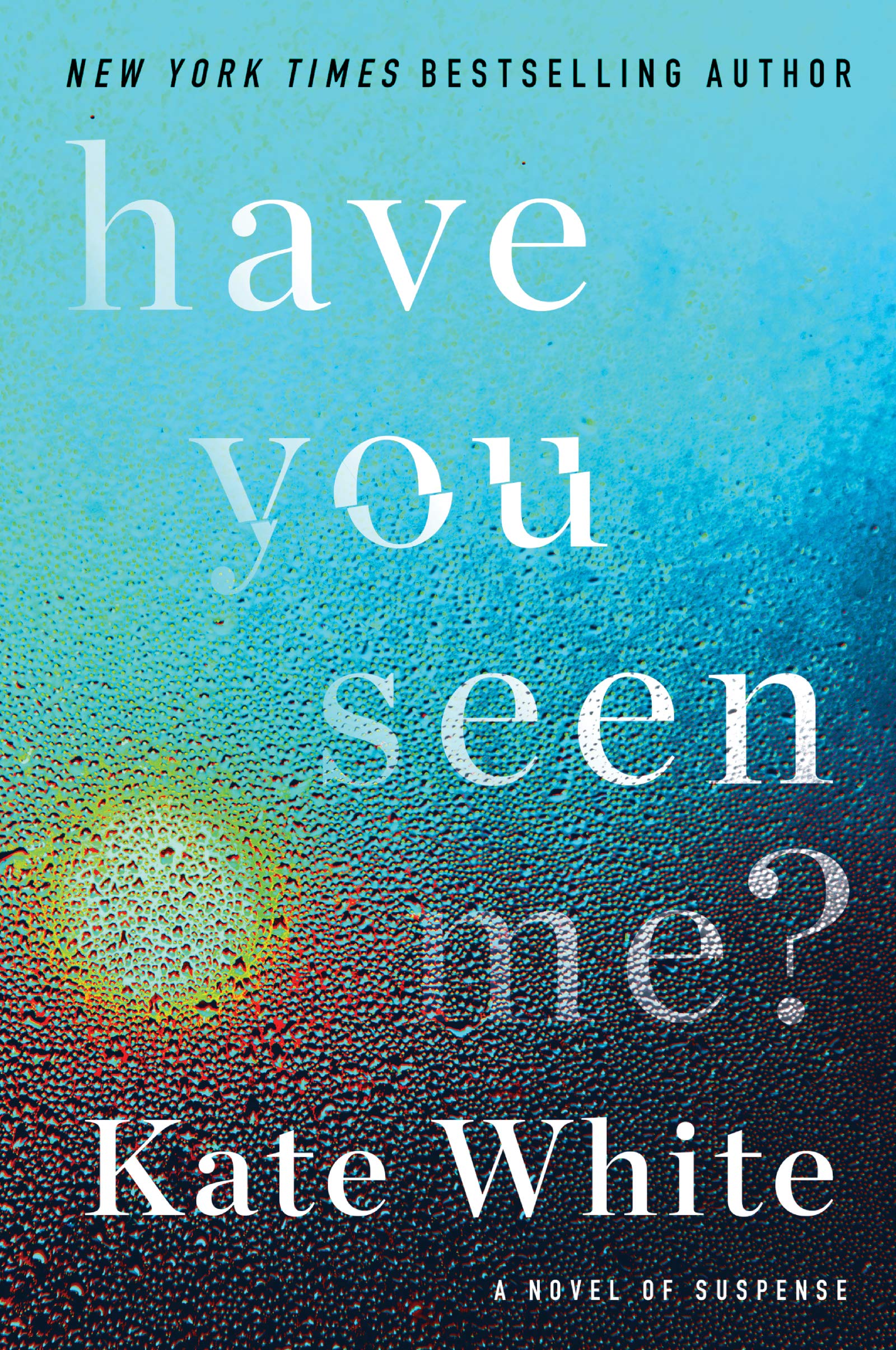 Have You Seen Me?: A Novel of Suspense book