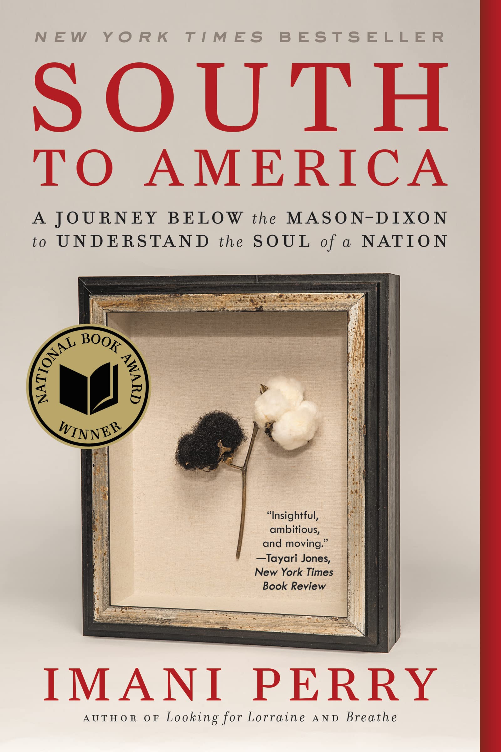 South to America: A Journey Below the Mason-Dixon to Understand the Soul of a Nation Social Sciences