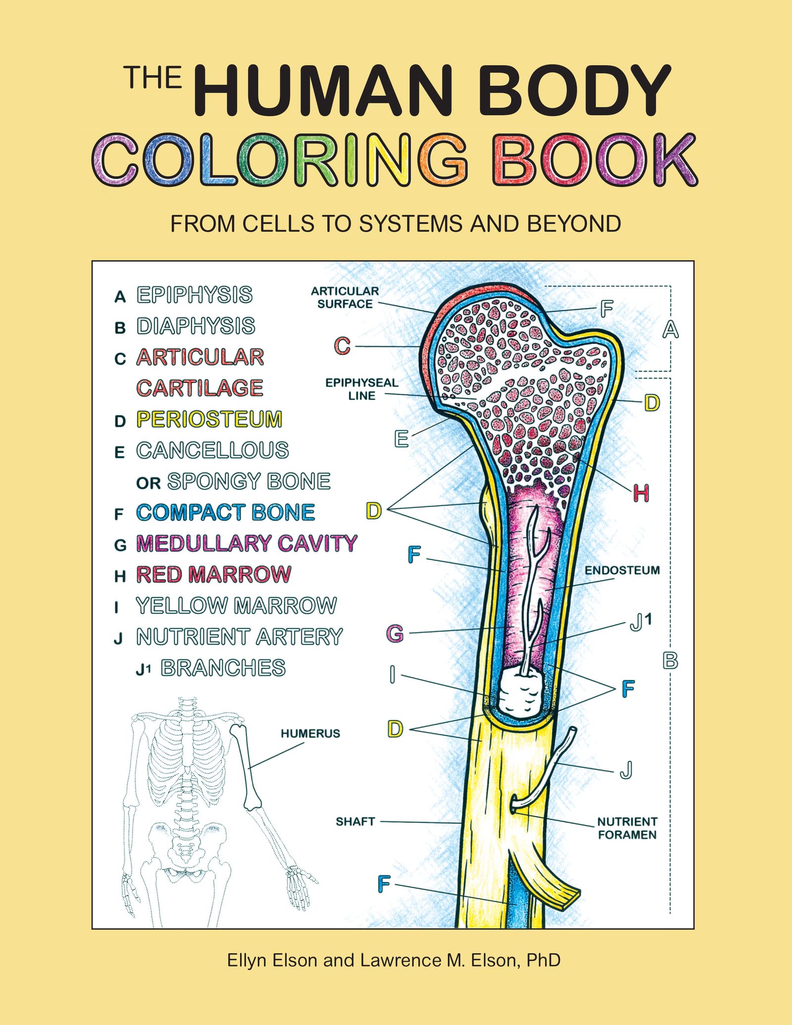 The Human Body Coloring Book: From Cells to Systems and Beyond book