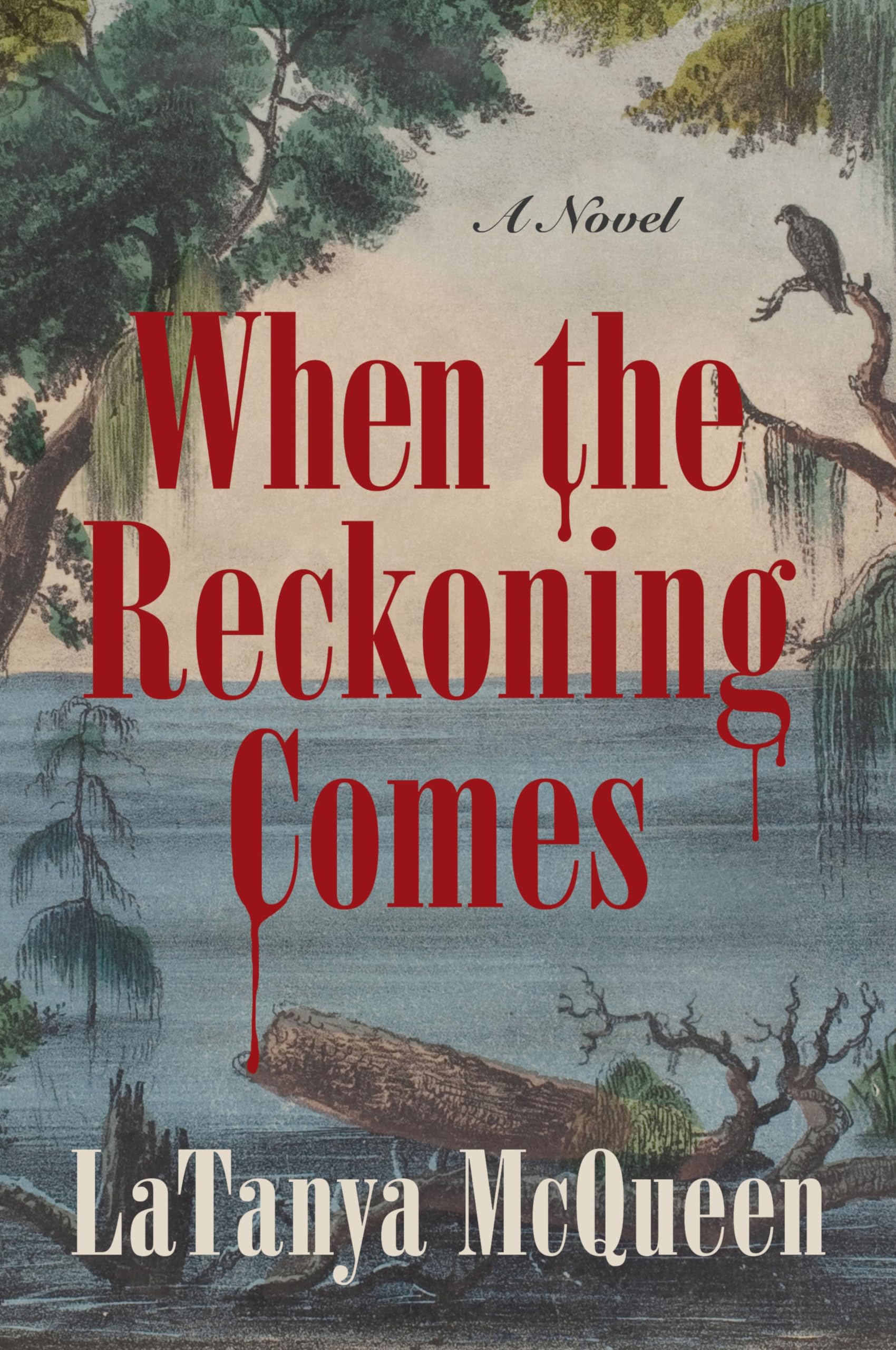 When the Reckoning Comes Historical Fiction