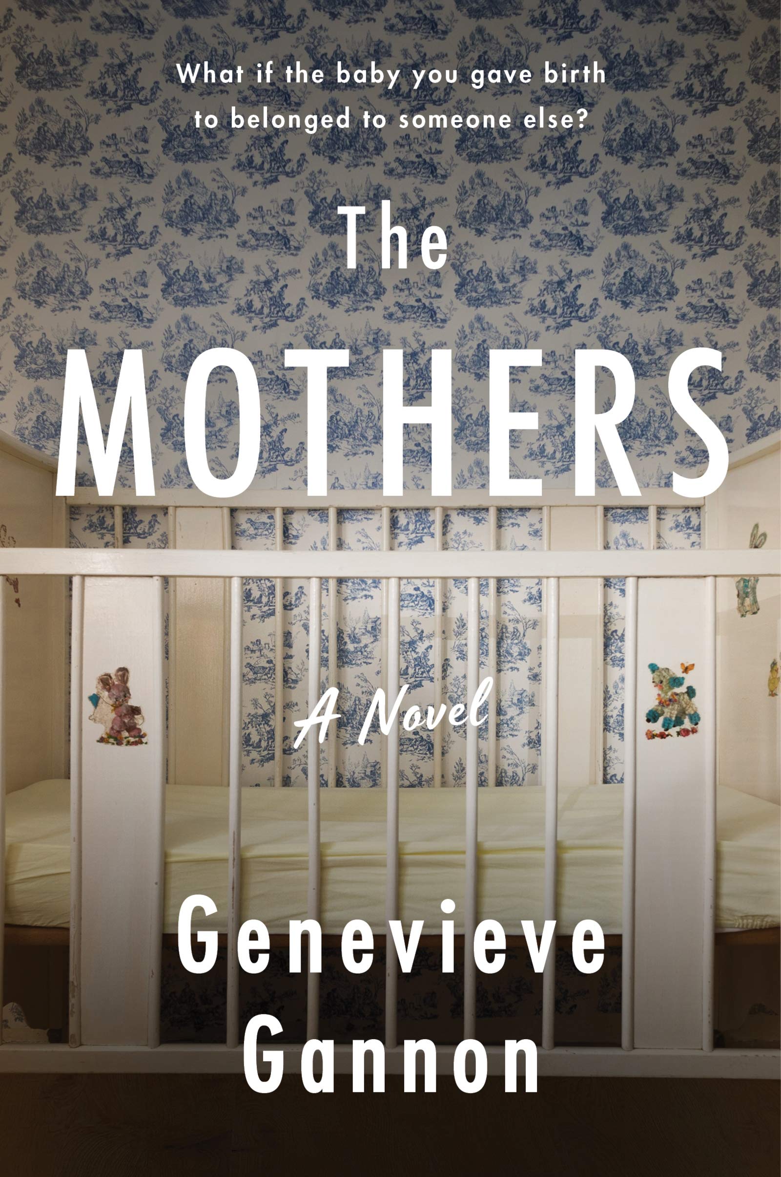 The Mothers: A Novel Contemporary literature