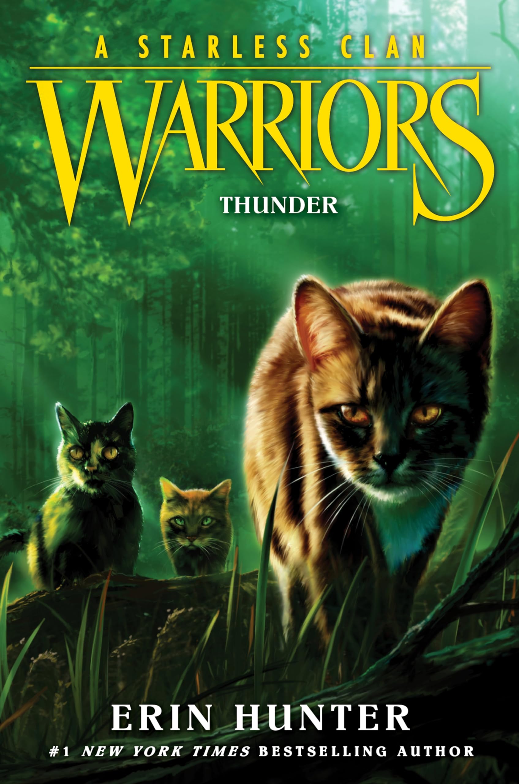 Warriors: A Starless Clan #4: Thunder Non-fiction