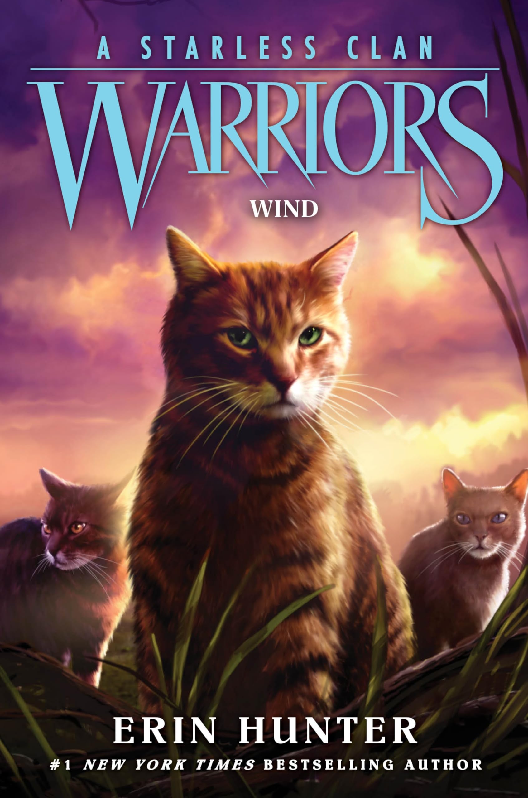 Warriors: A Starless Clan 05: Wind Non-fiction books for kids
