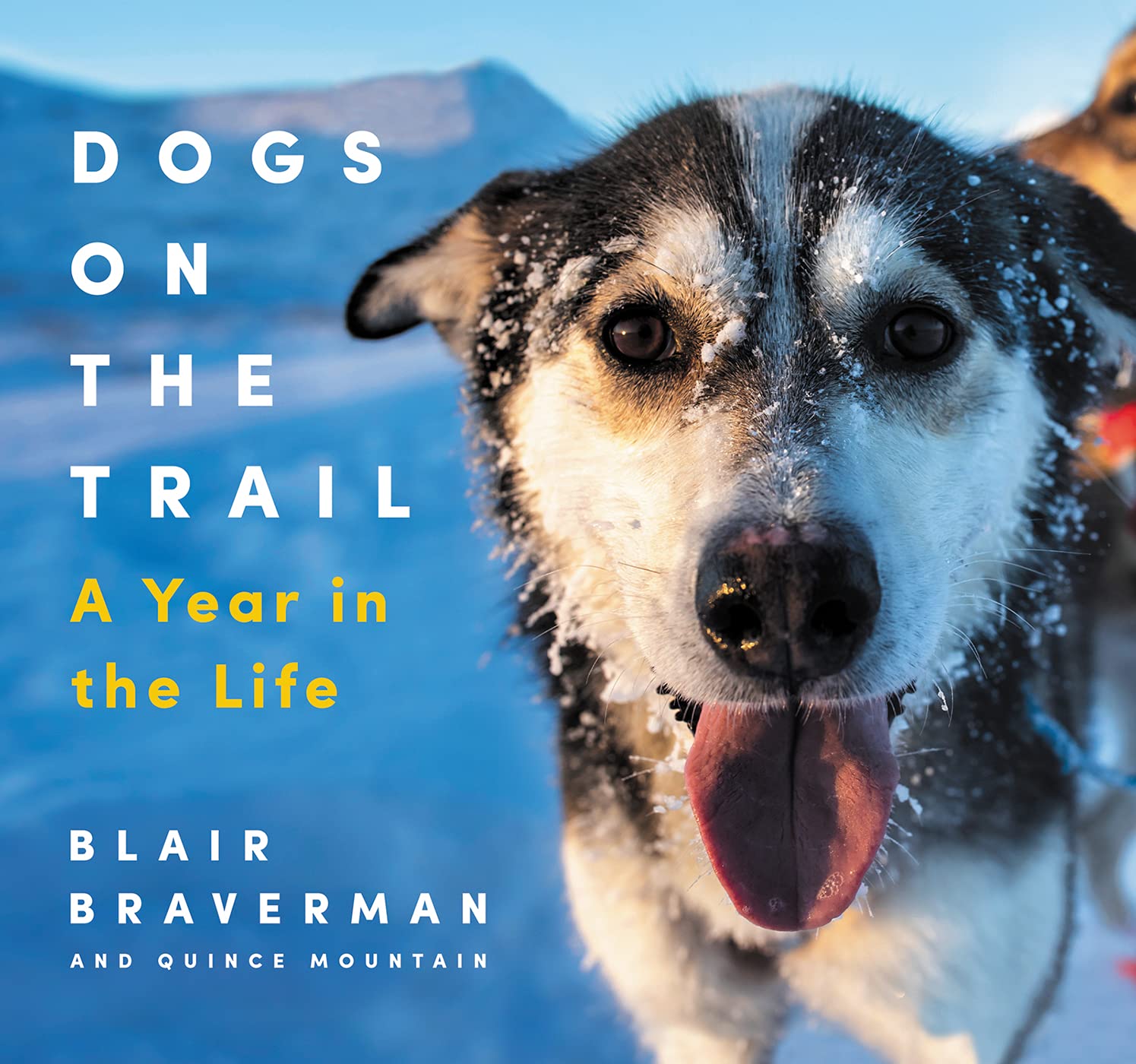 Dogs on the Trail Mathematics
