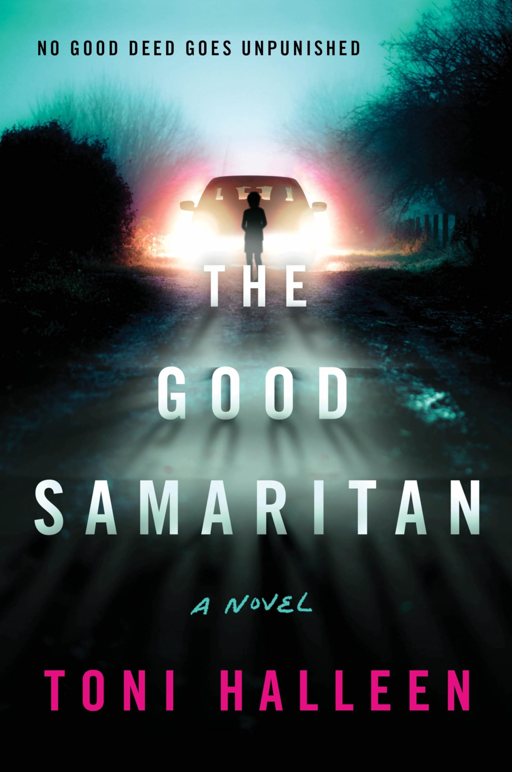 The Good Samaritan: A Novel Contemporary literature