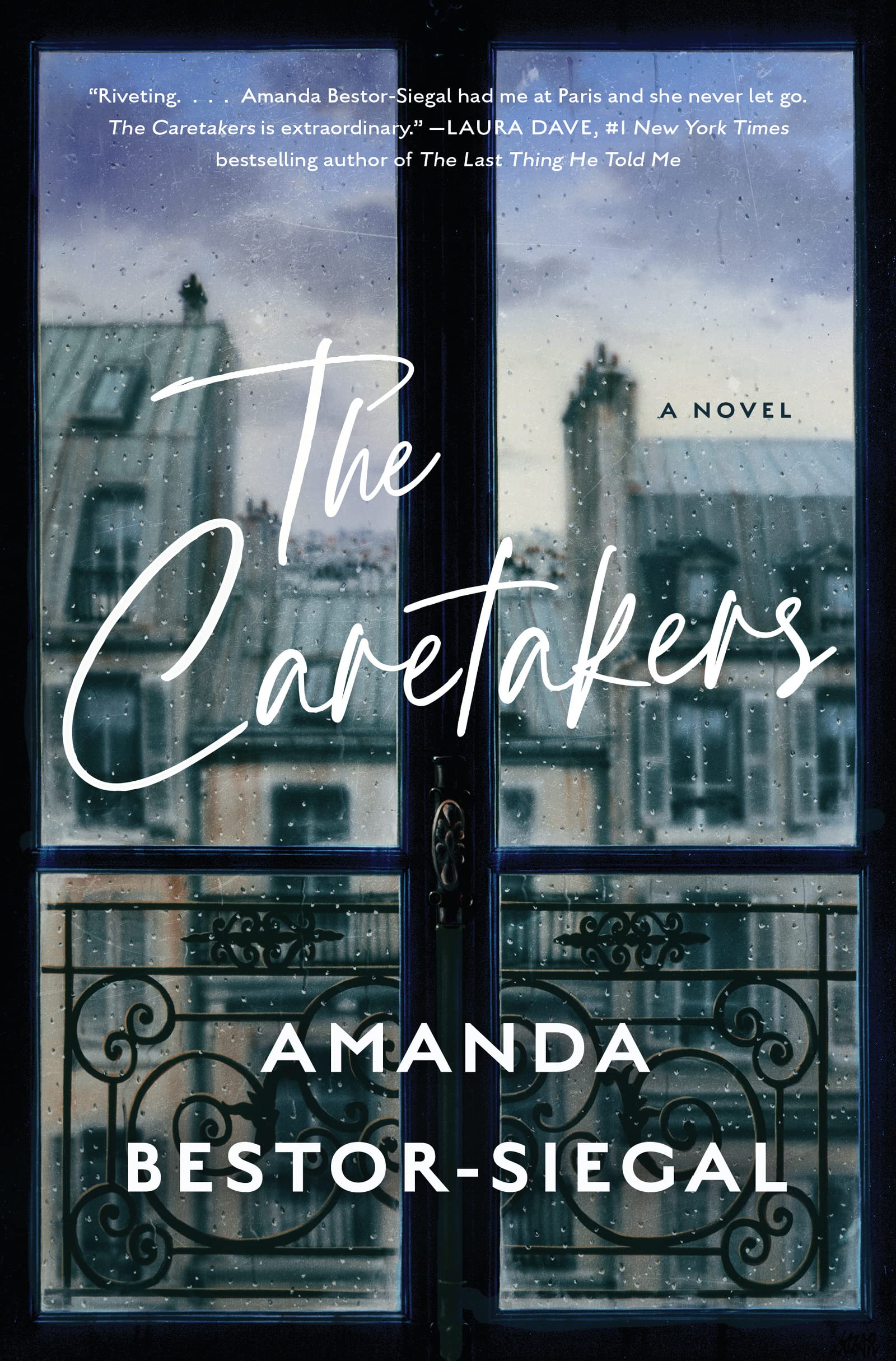 The Caretakers: A Novel book