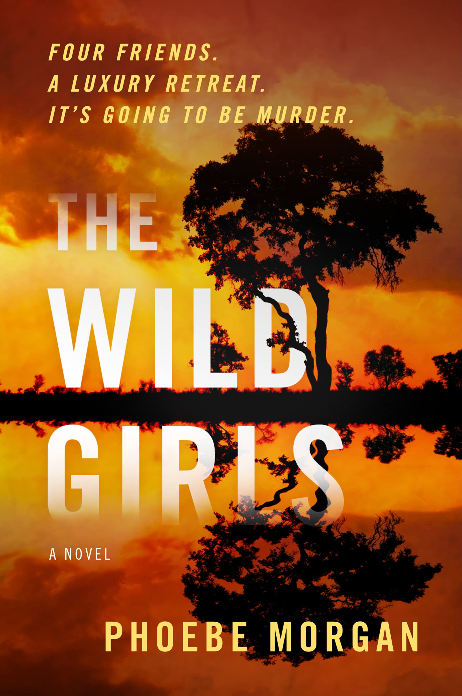 The Wild Girls: A Novel Holiday Reading