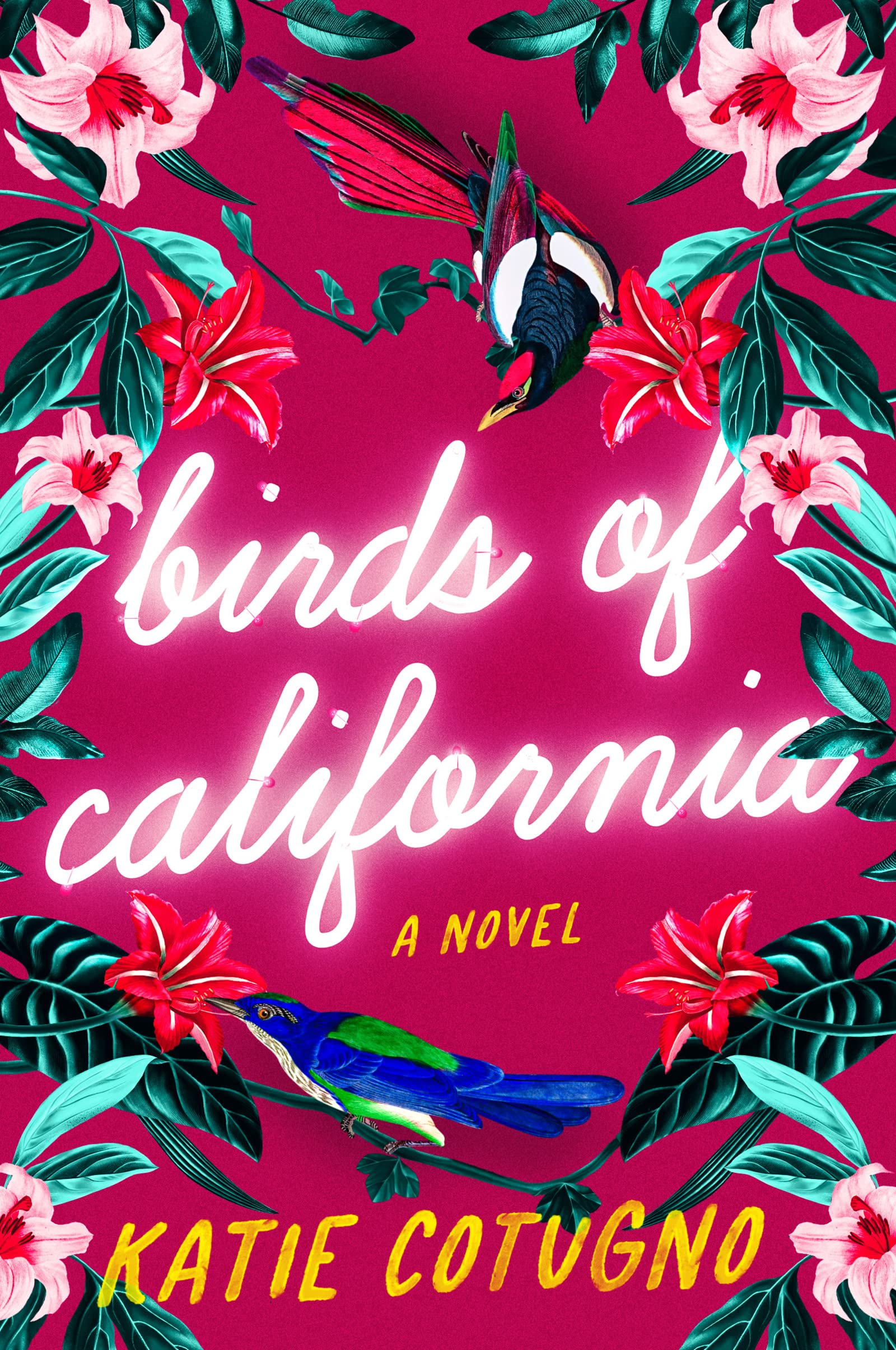 Birds of California: A Sharply Sexy Romantic Comedy About Mental Health, Love, and Hollywood's MeToo Era Humour & Satire