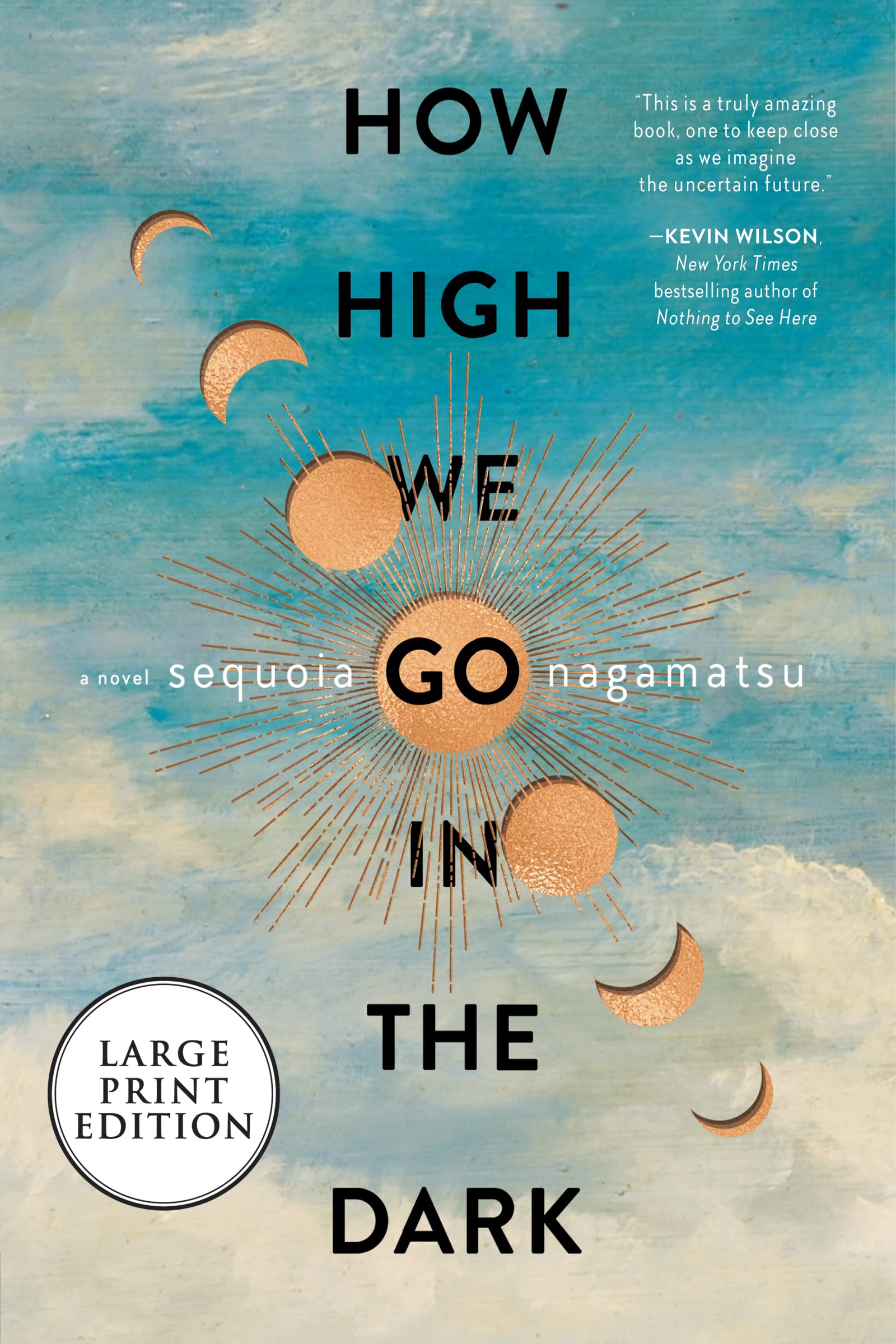 How High We Go in the Dark: A Novel book