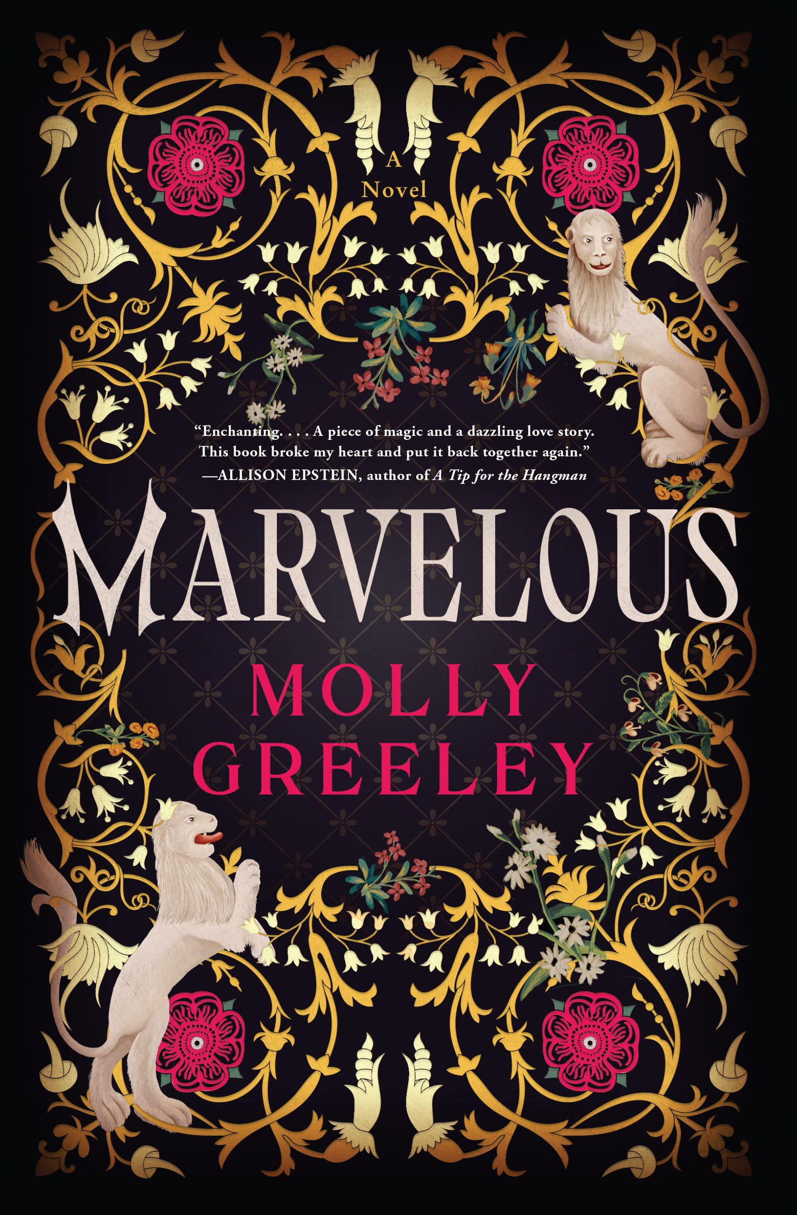 Marvelous: A Novel of Wonder and Romance in the French Royal Court Historical Fiction