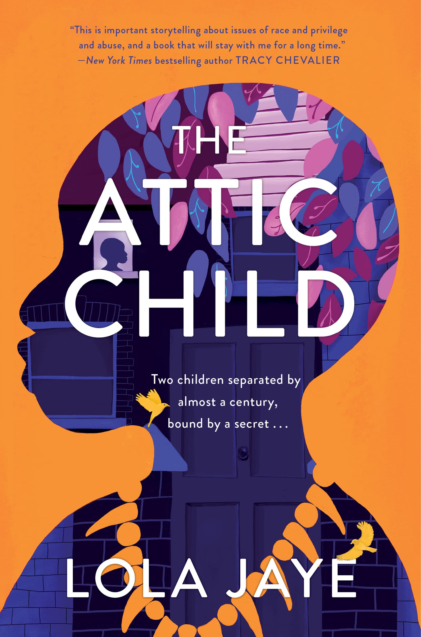 Product Image: The Attic Child: A Novel