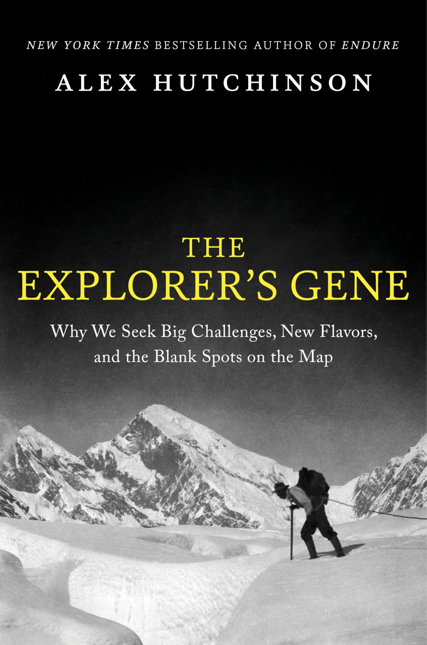 Product Image: The Explorer's Gene