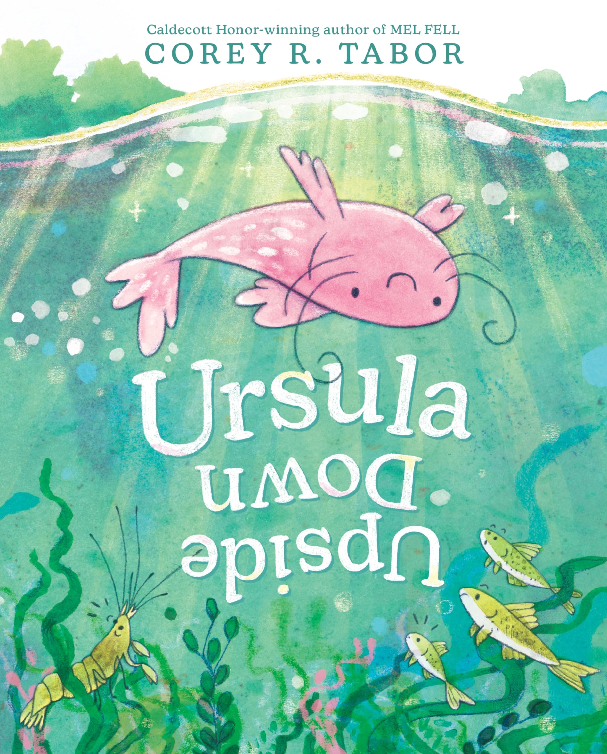 Ursula Upside Down: An Inventive Picture Book Adventure about Finding Confidence Non-fiction