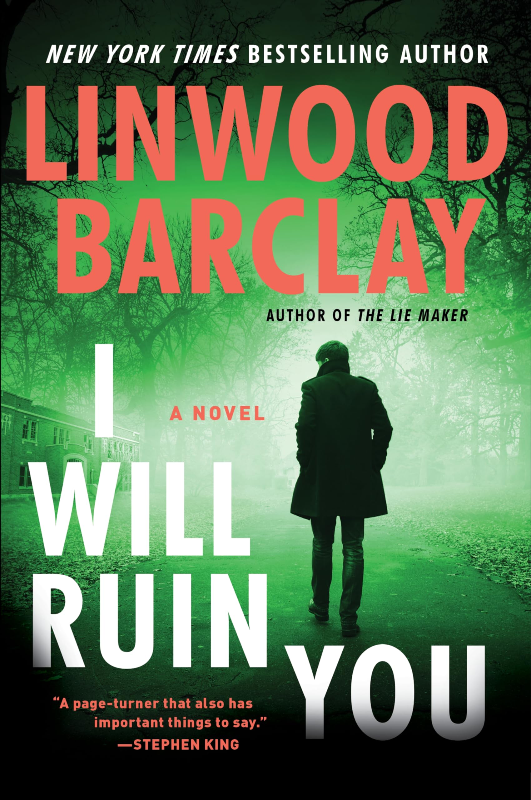 I Will Ruin You: A Novel Contemporary literature