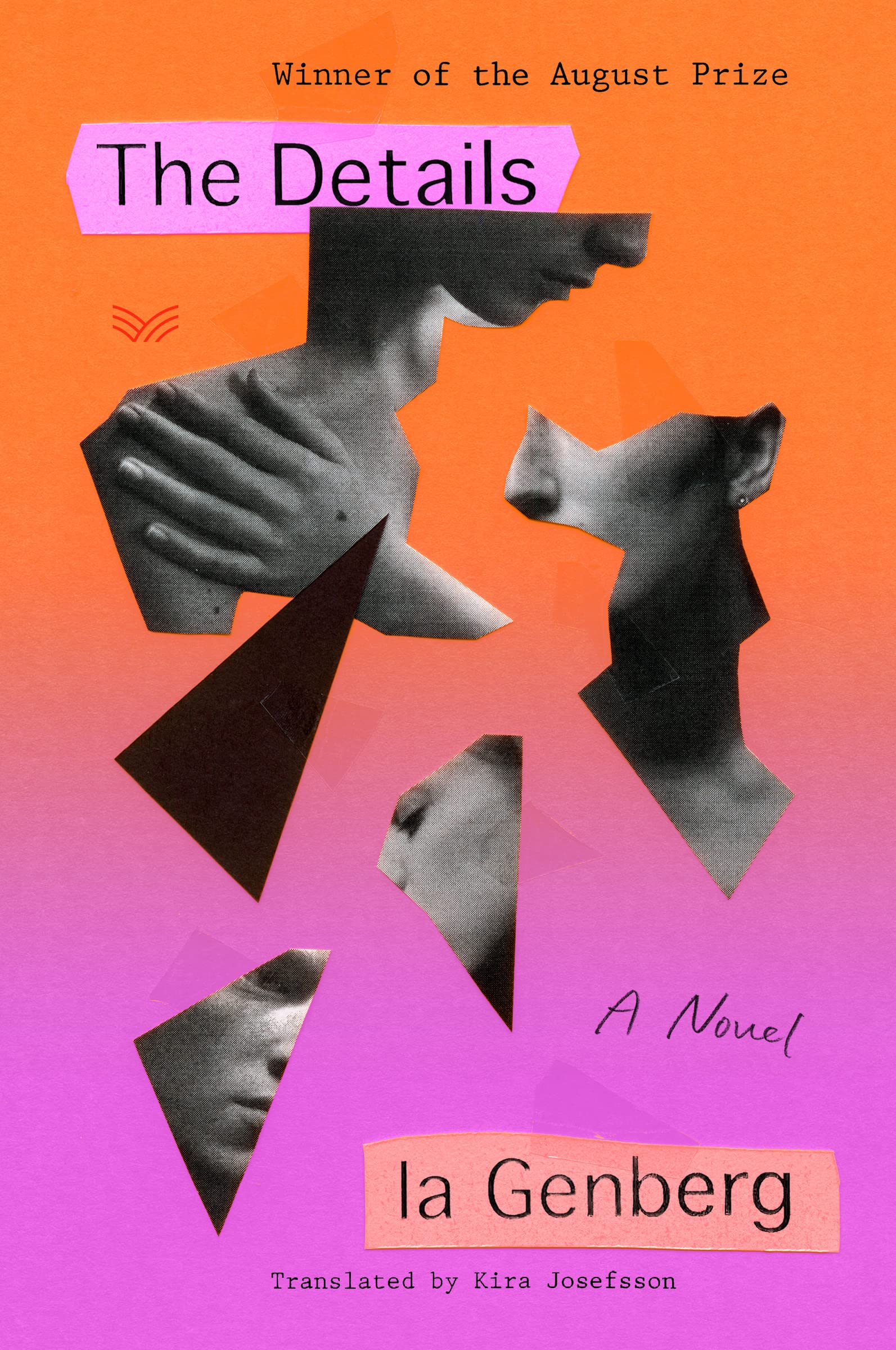 The Details: An Award-Winning Tale of Love, Loss, and Rediscovery Through Vivid Memories and Intricate Relationships Social Sciences