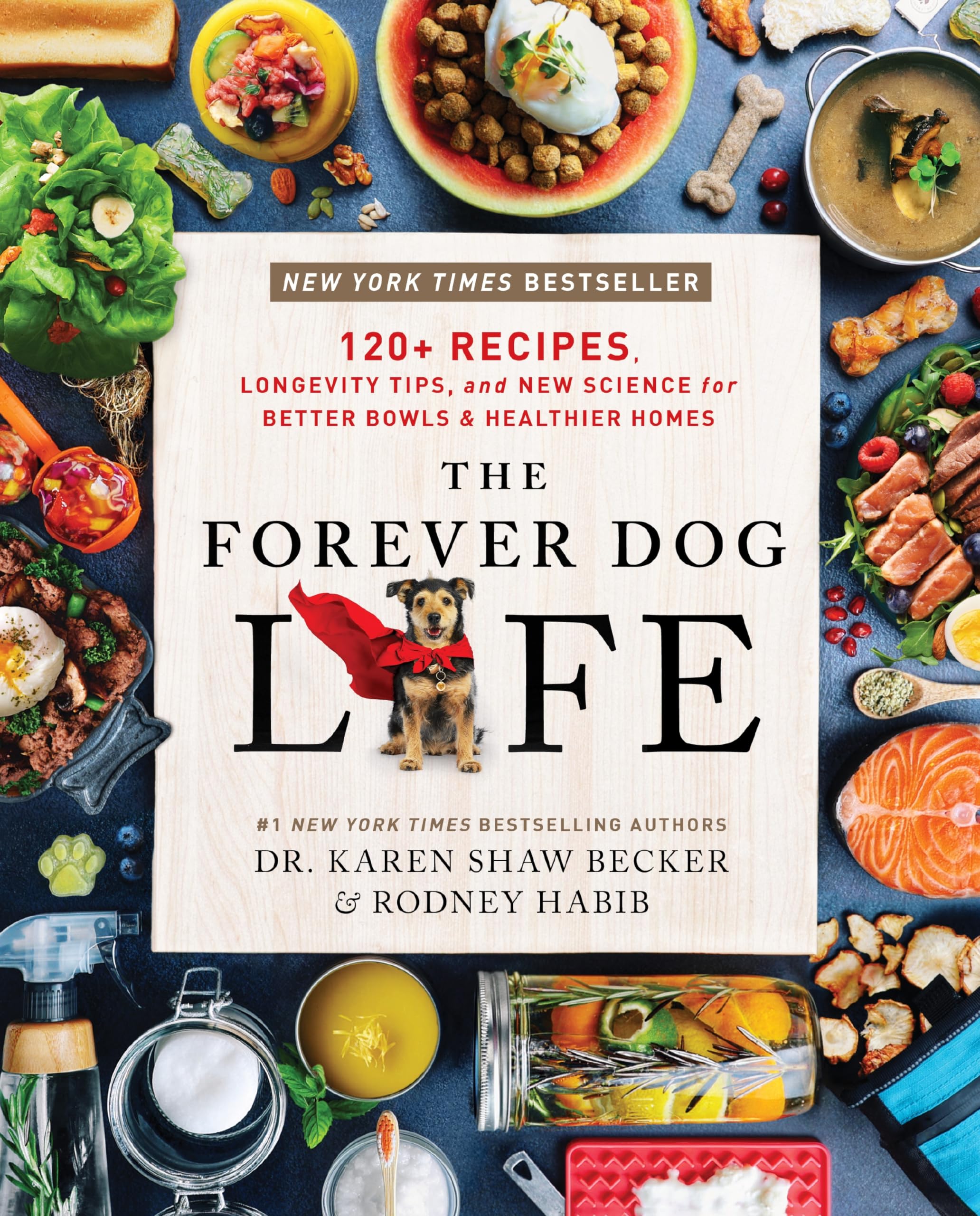 The Forever Dog Life Medicine