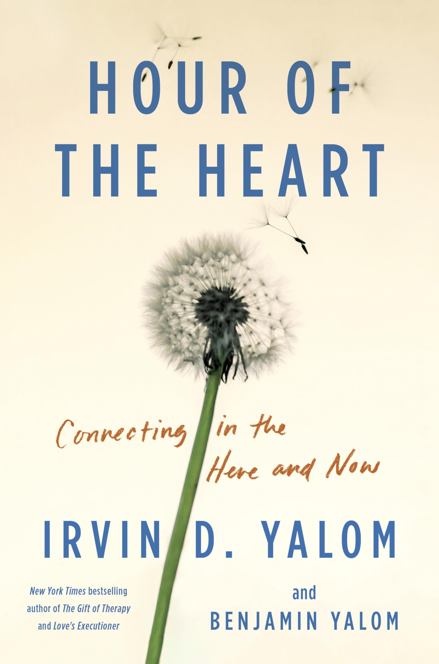 Hour of the Heart: Connecting in the Here and Now Medicine