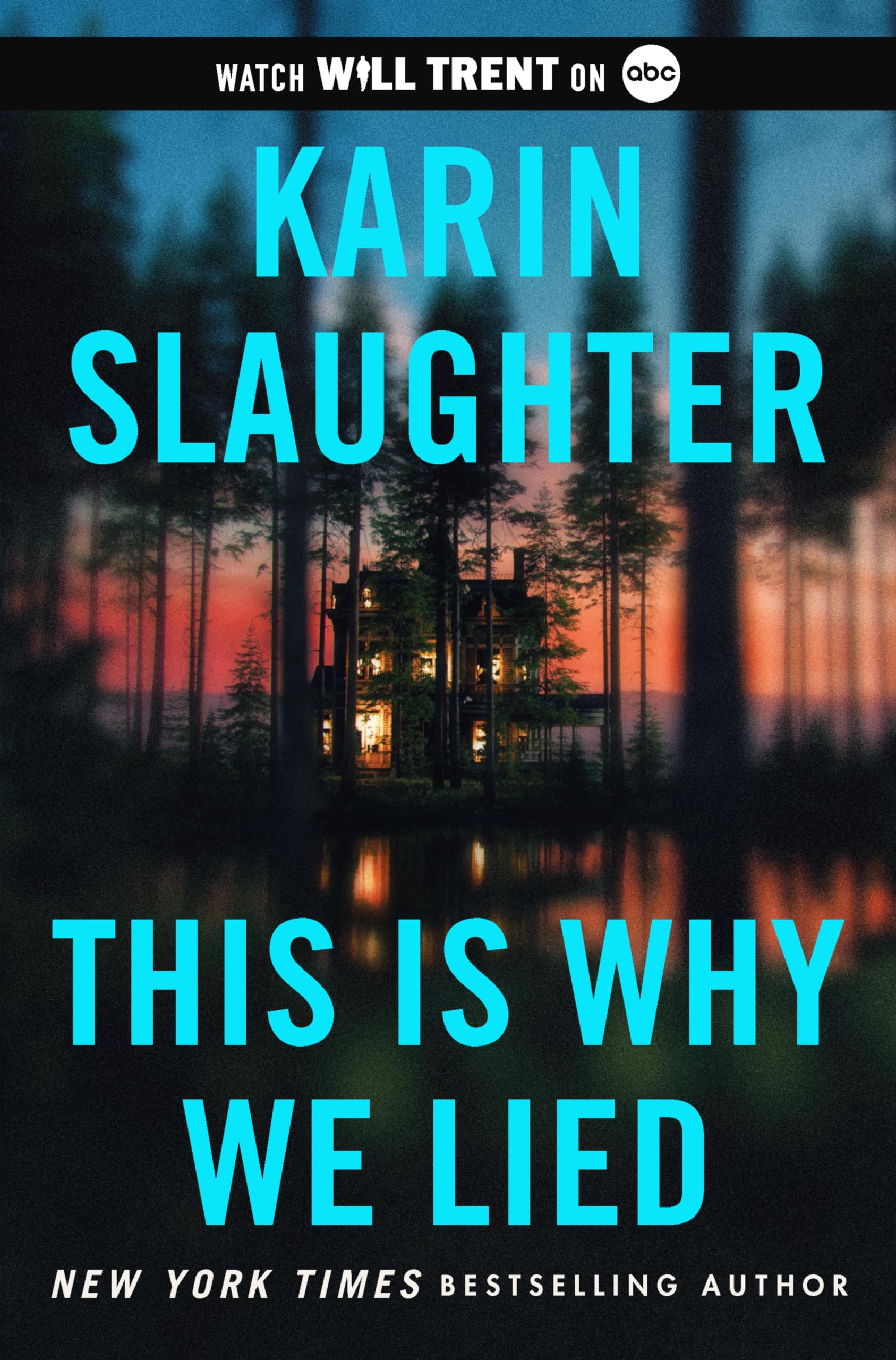 This Is Why We Lied Contemporary literature