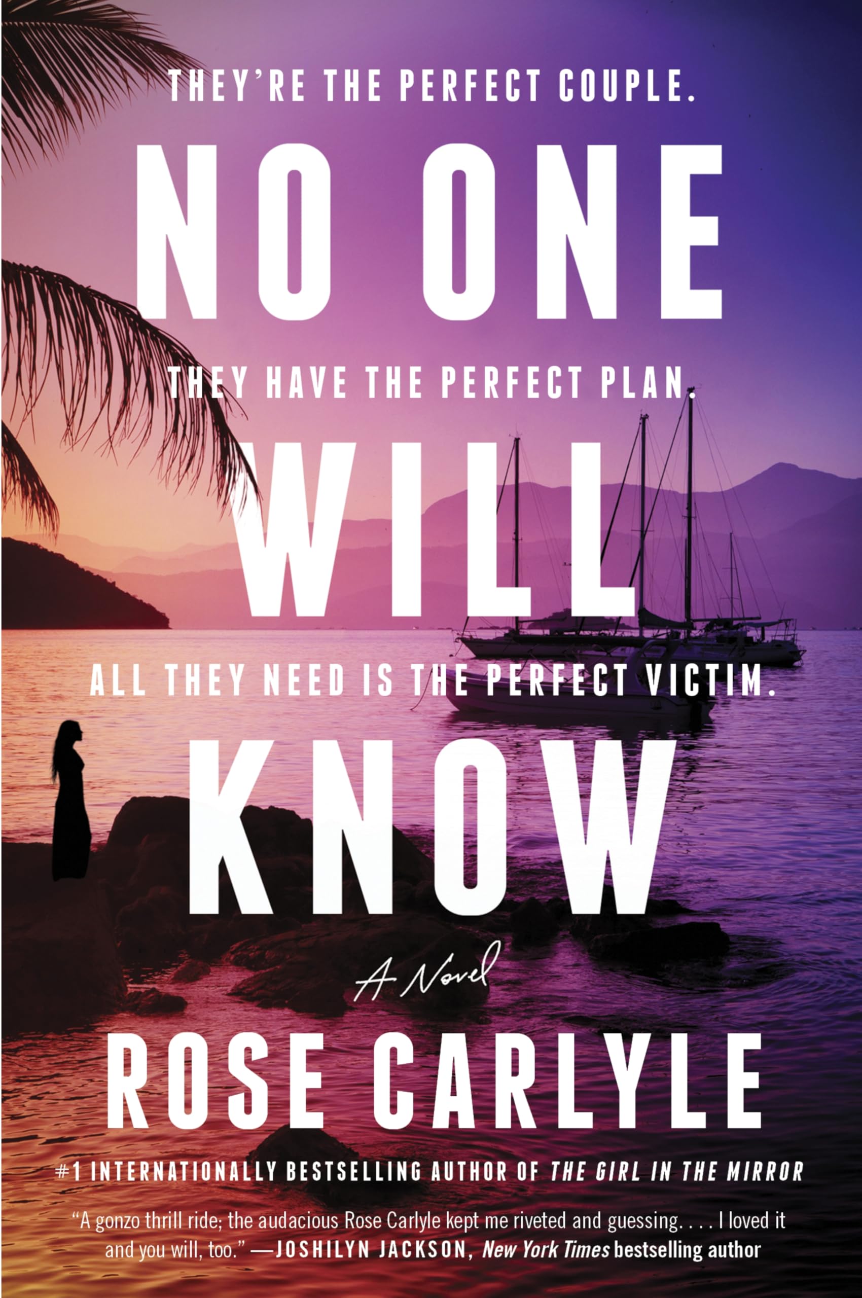 No One Will Know: Devious plot twists keep readers guessing in this suspenseful thriller of deception and betrayal Contemporary literature