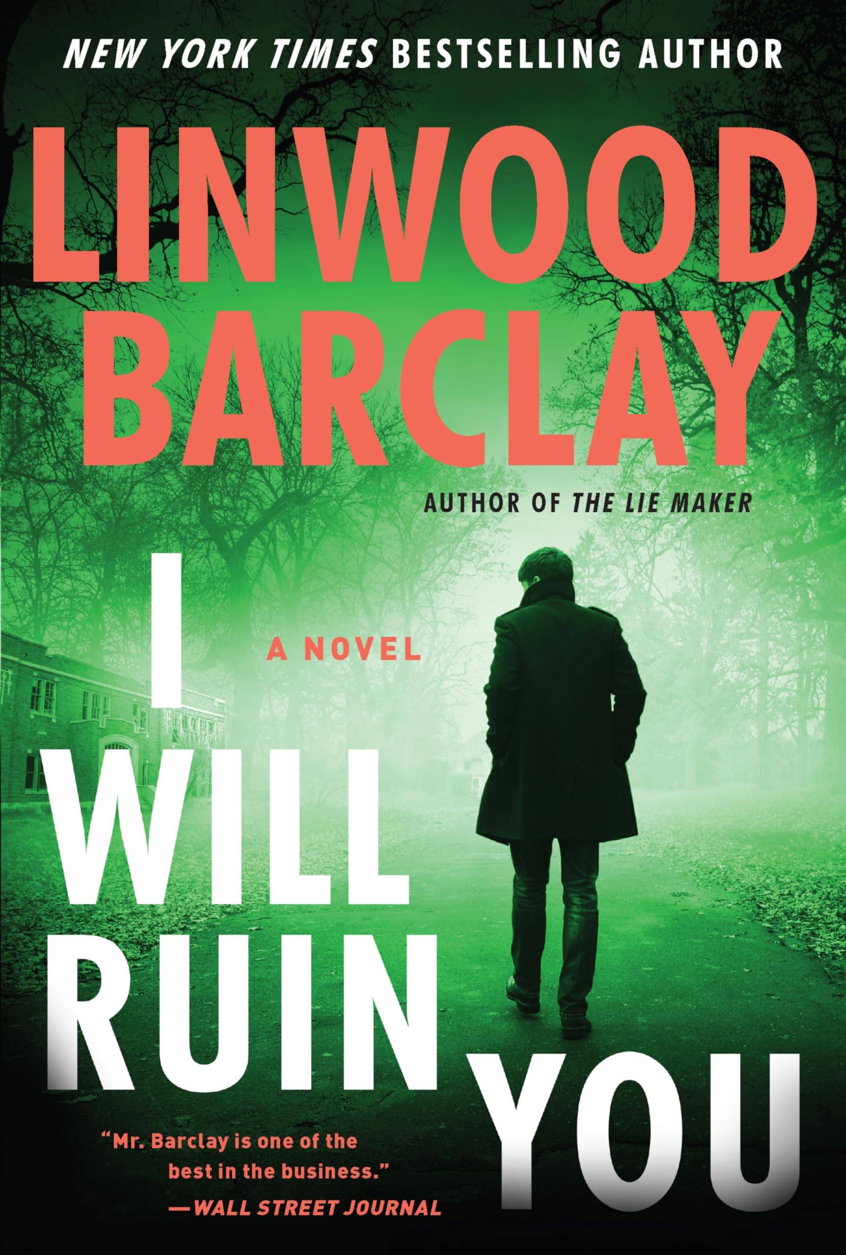 I Will Ruin You: A Novel Contemporary literature