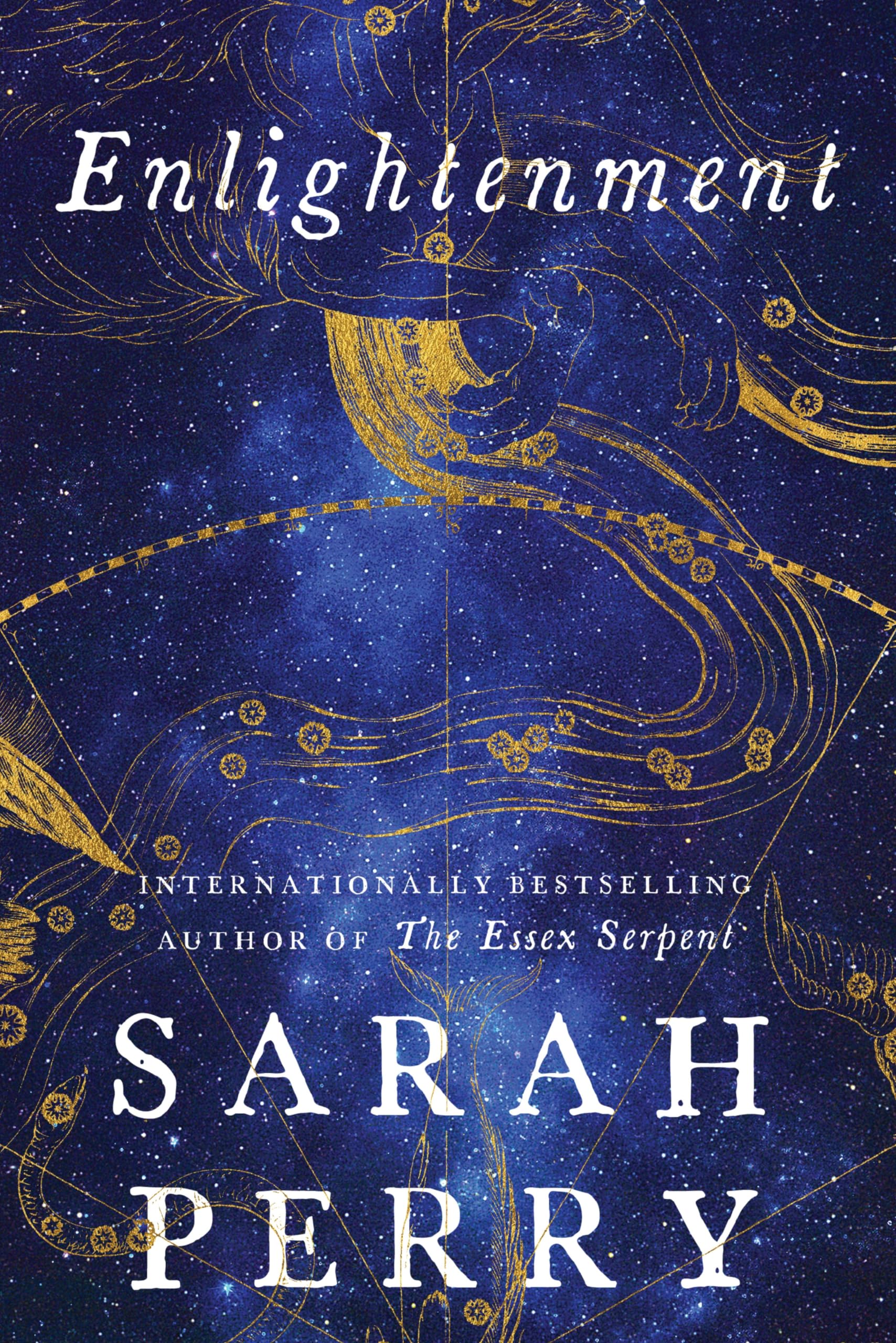 Enlightenment: A Novel Contemporary literature Books