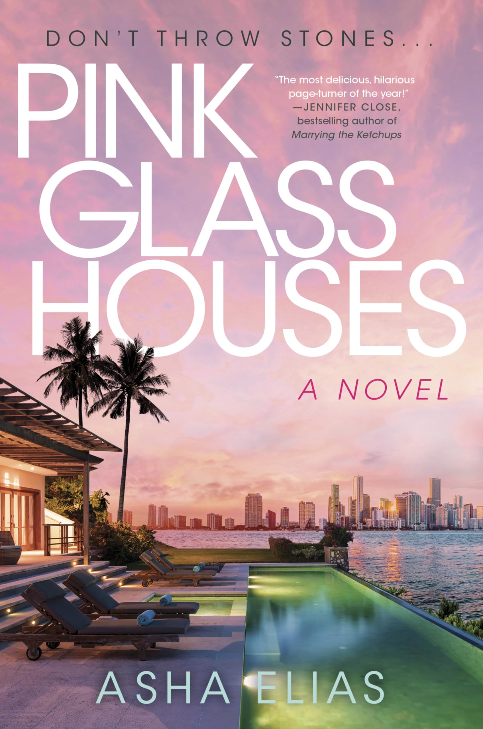 Pink Glass Houses: A Novel Humour & Satire