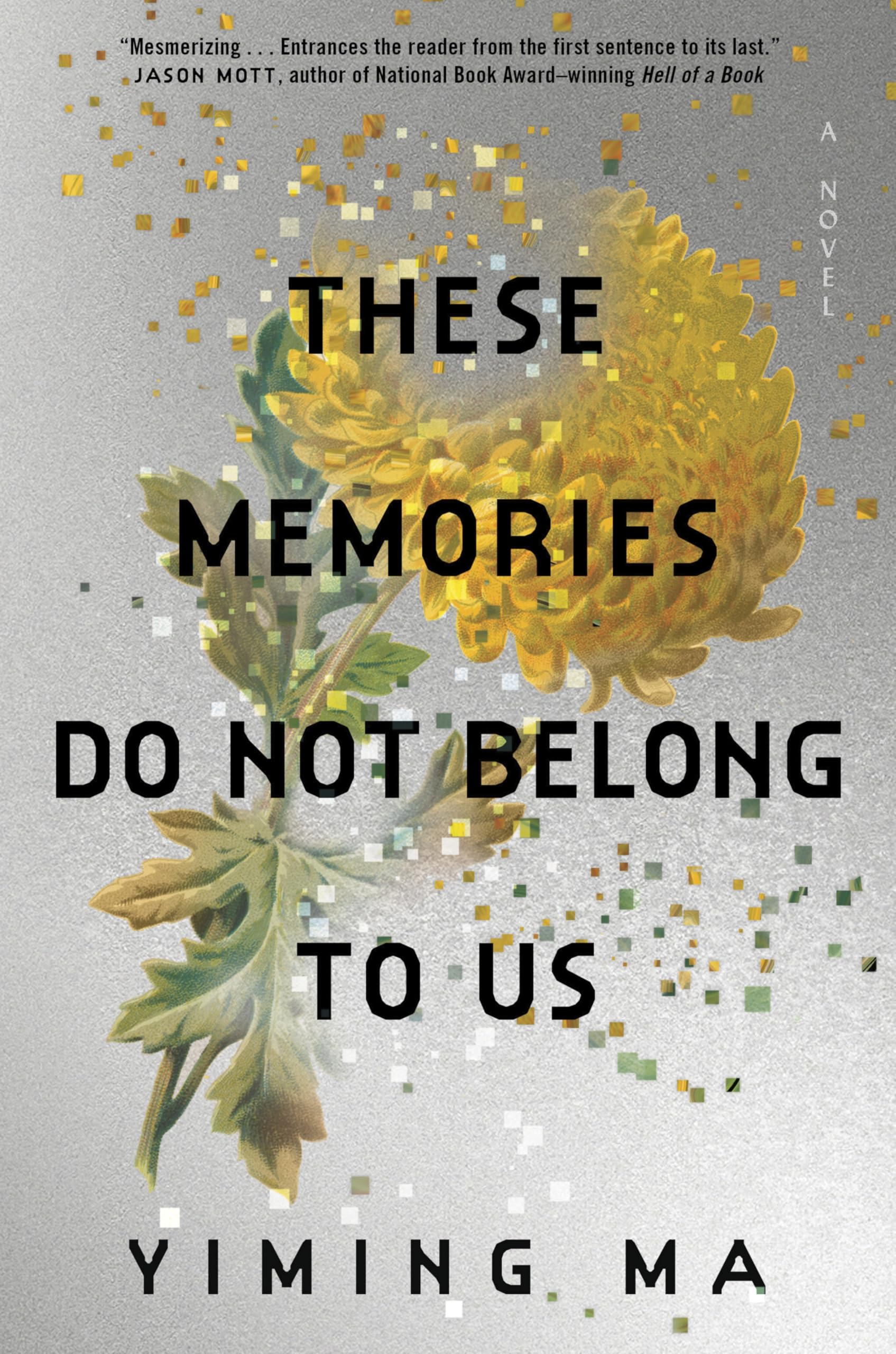 These Memories Do Not Belong to Us Historical Fiction