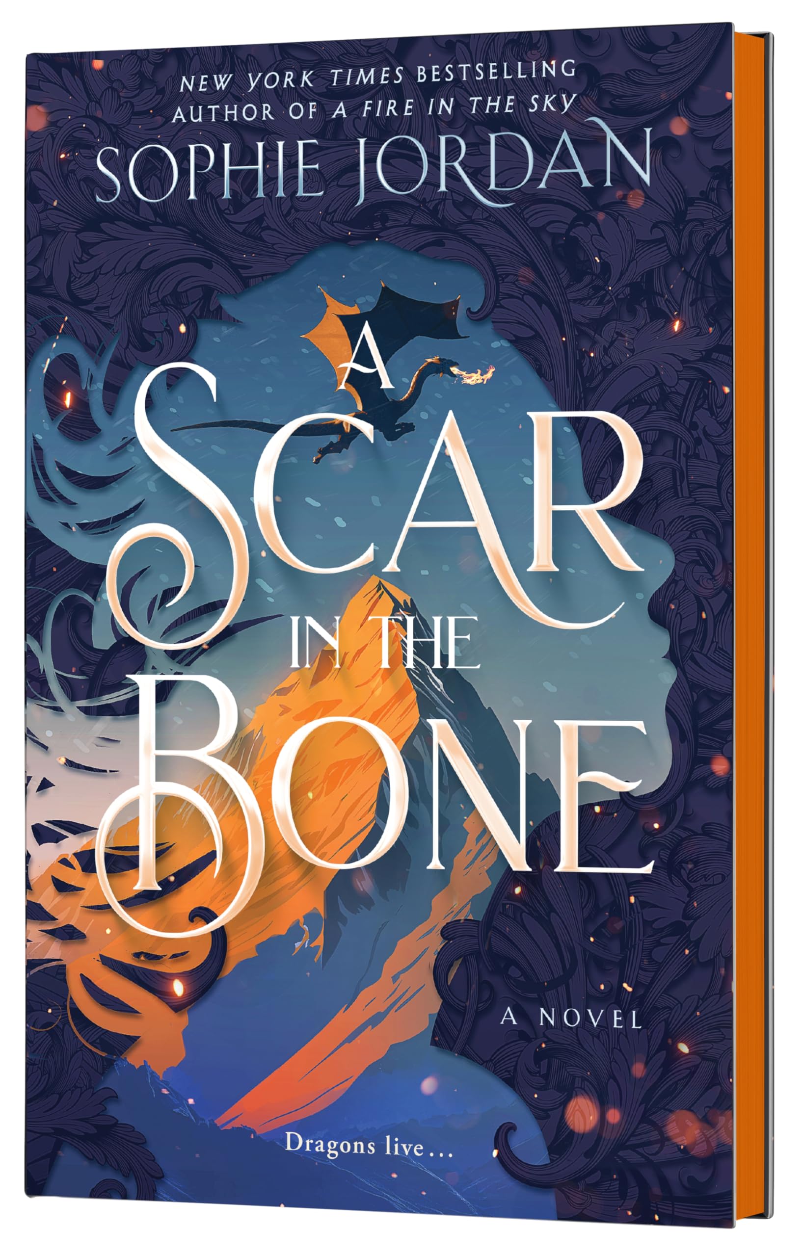 A Scar in the Bone (Deluxe Limited Edition) Contemporary literature
