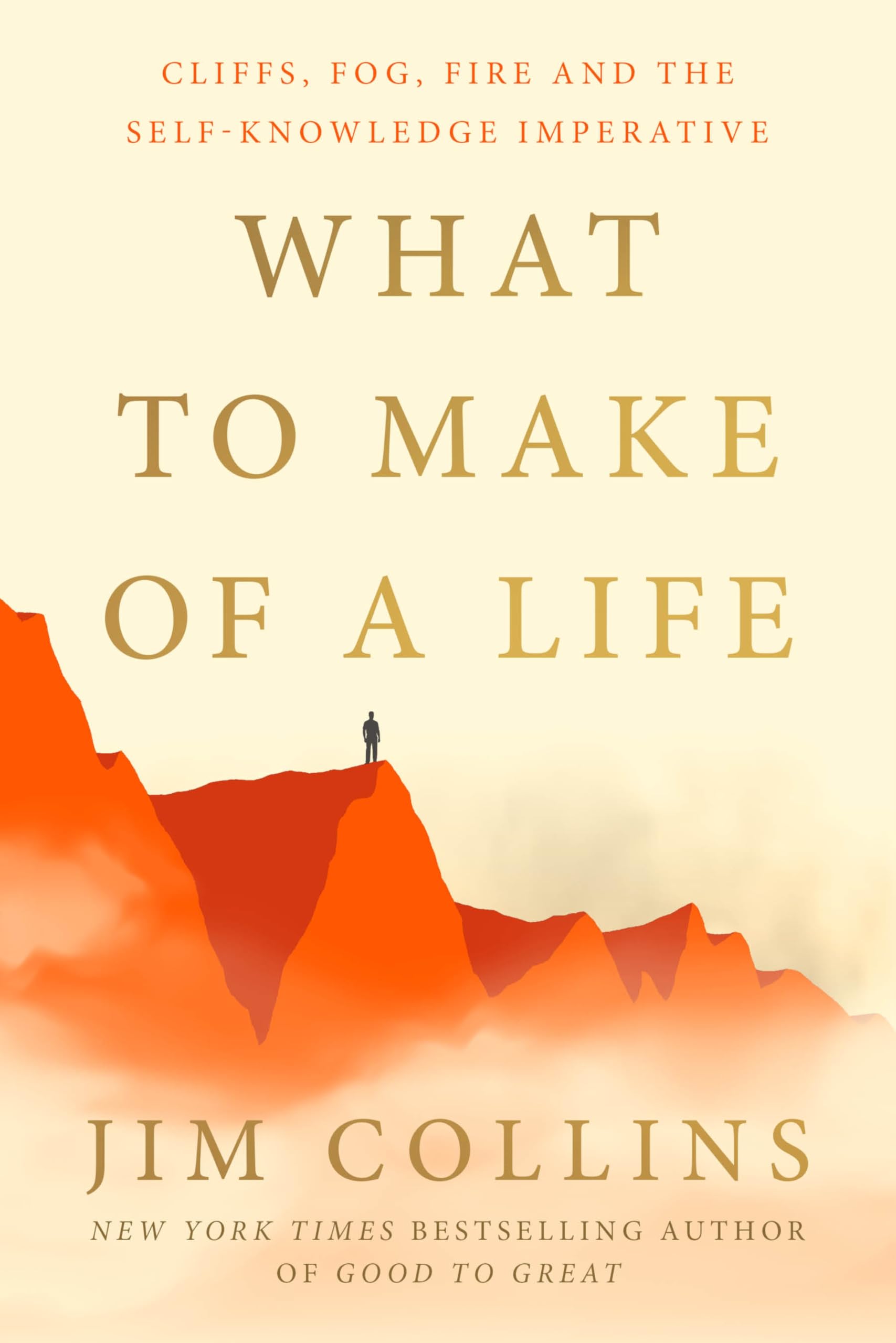 What to Make of a Life: Cliffs, Fog, Fire and the Self-Knowledge Imperative Social Sciences