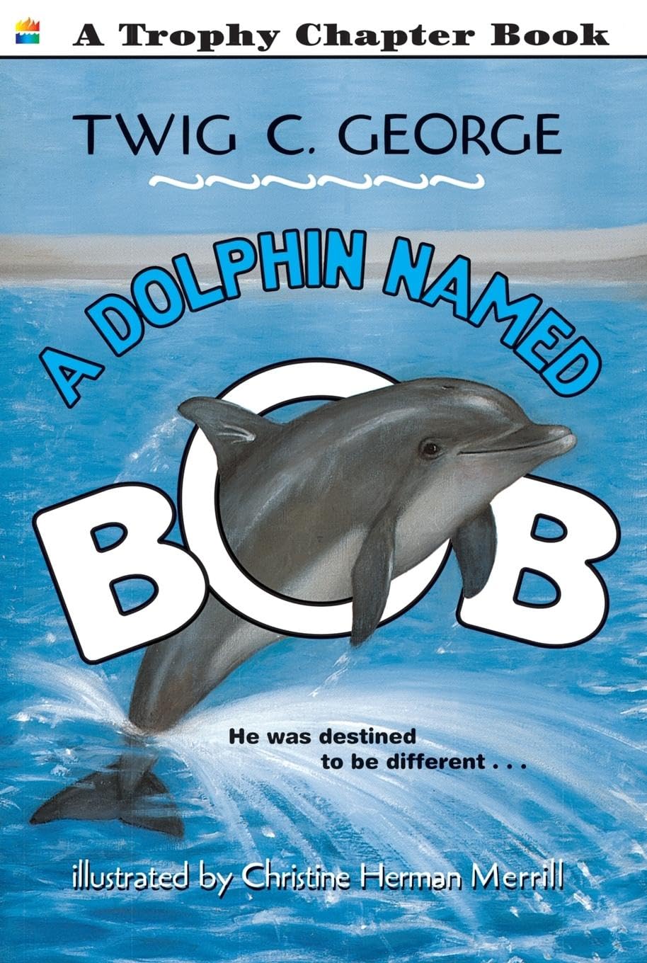 Product Image: Dolphin Named Bob, A