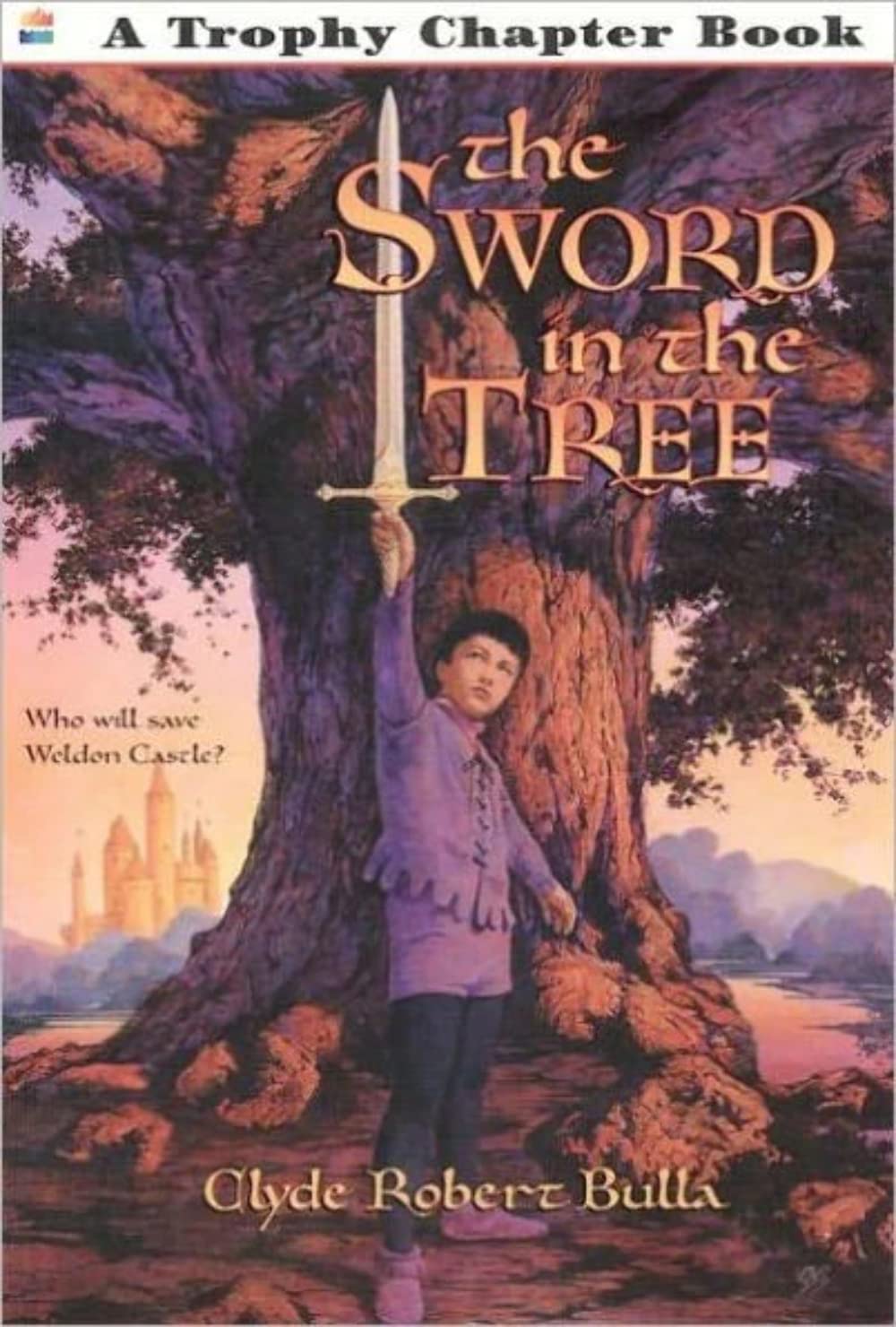 The Sword in the Tree Non-fiction books for kids
