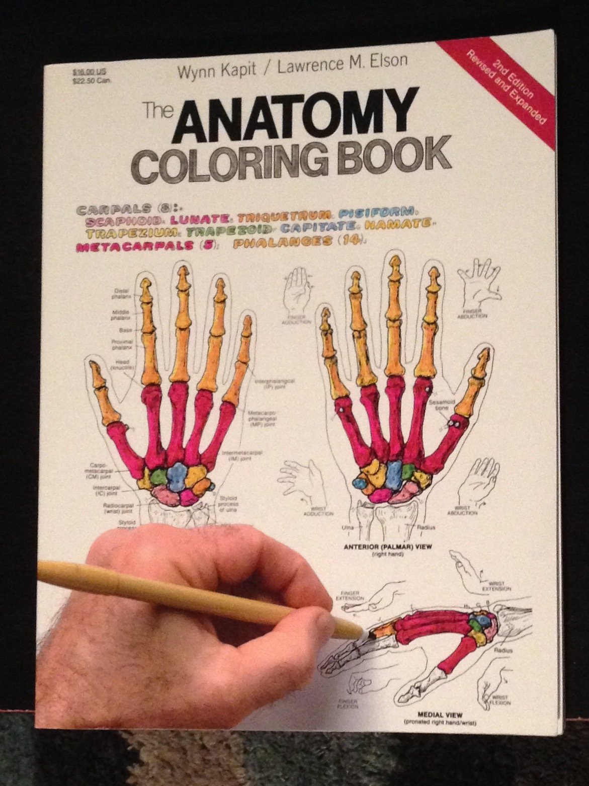 Product Image: The Anatomy Coloring Book