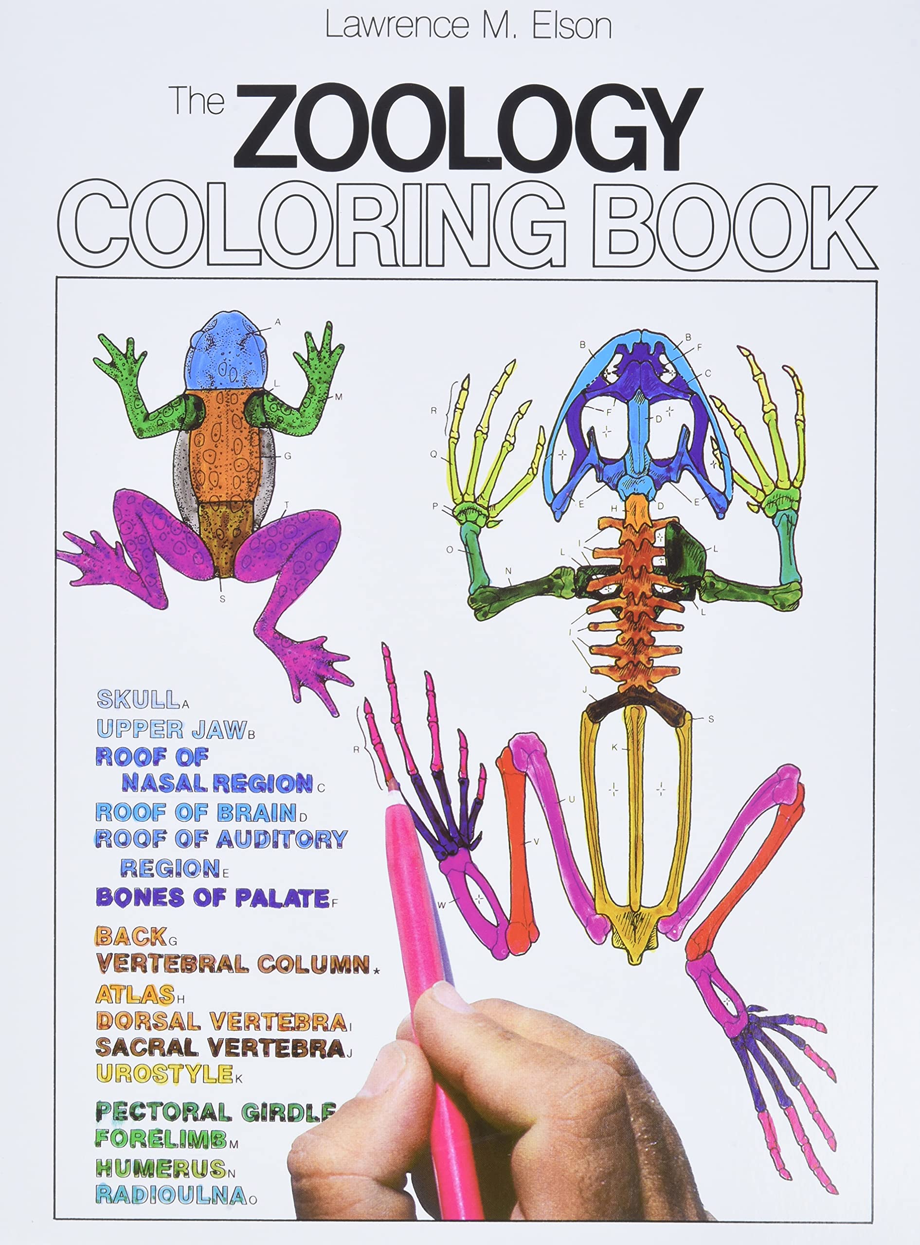 Zoology Coloring Book: A Coloring Book (Coloring Concepts) Medicine