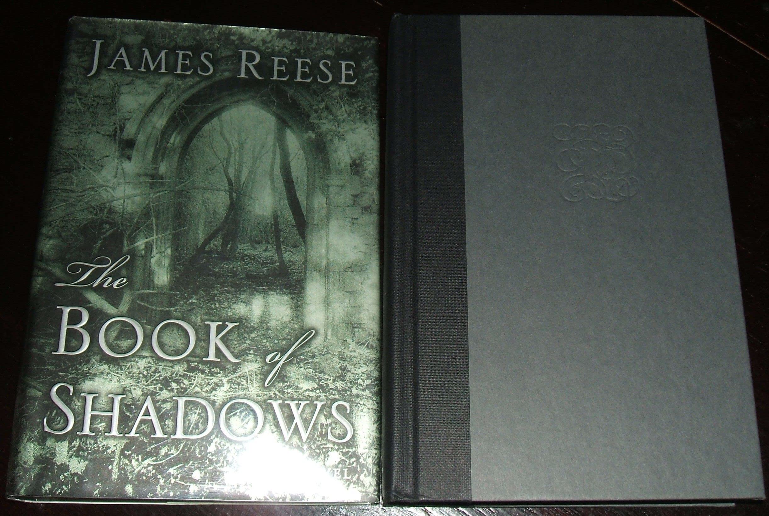 The Book of Shadows: A Novel book