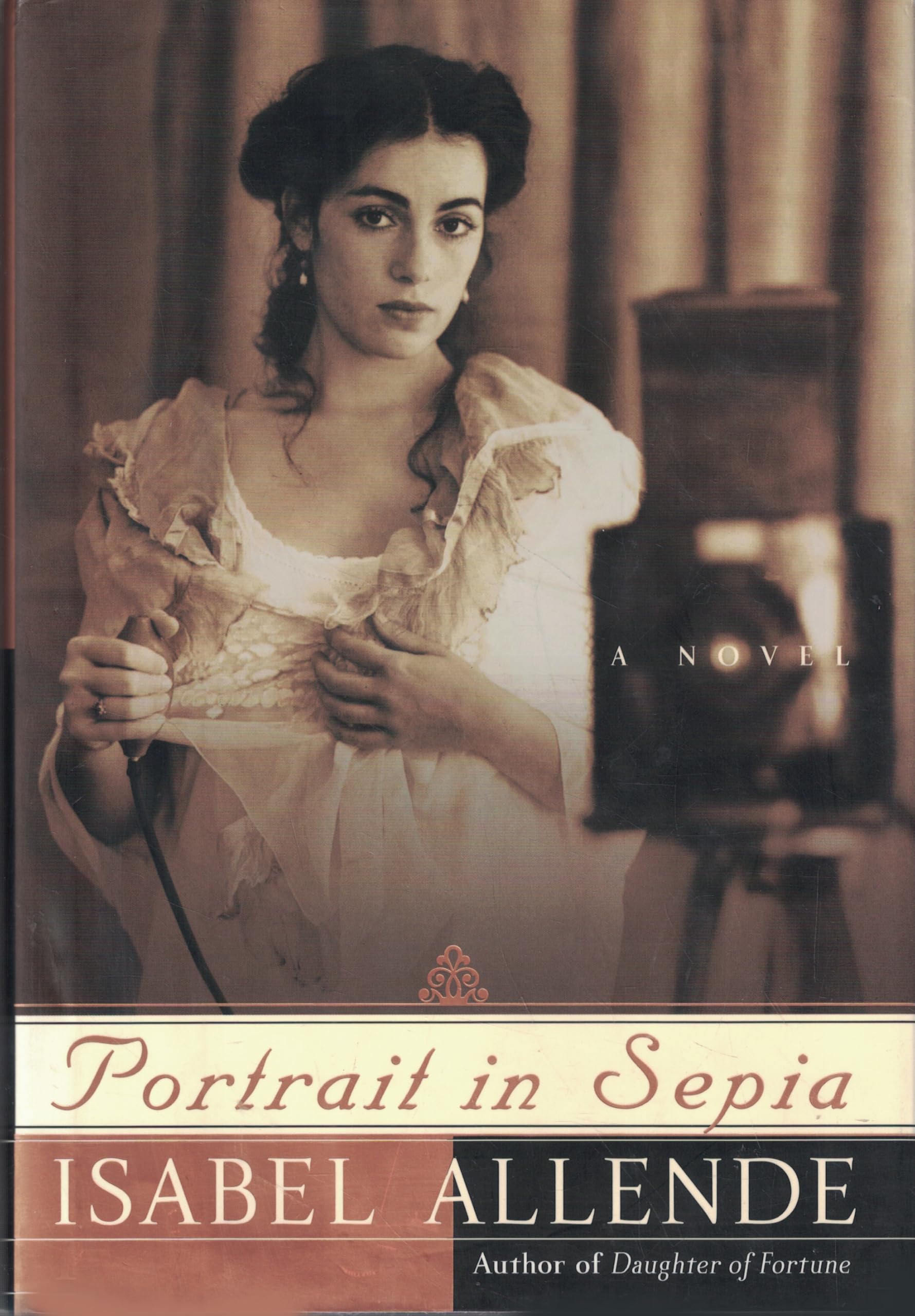 Portrait in Sepia: An Epic Historical Novel of Memory, Betrayal, and Solitude in 19th-Century Chile―Get Lost in the Pages of This Captivating Summer Read Action & Adventure