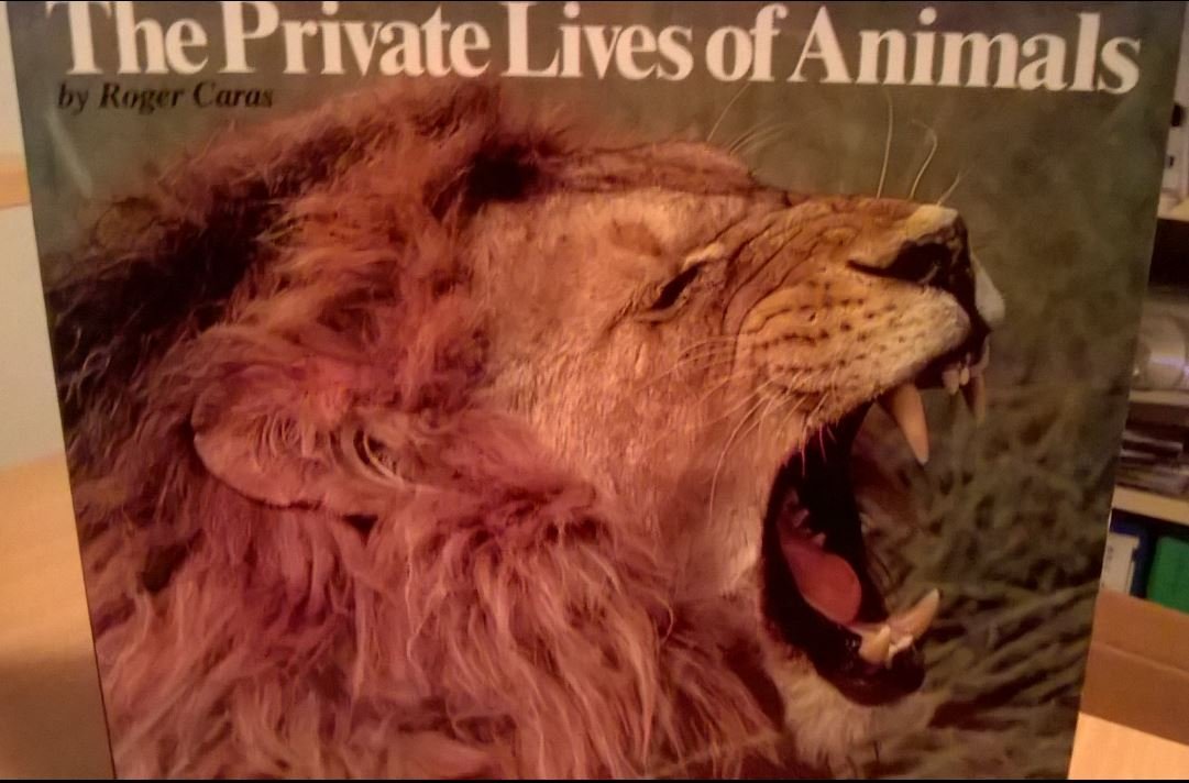 The Private Lives of Animals book